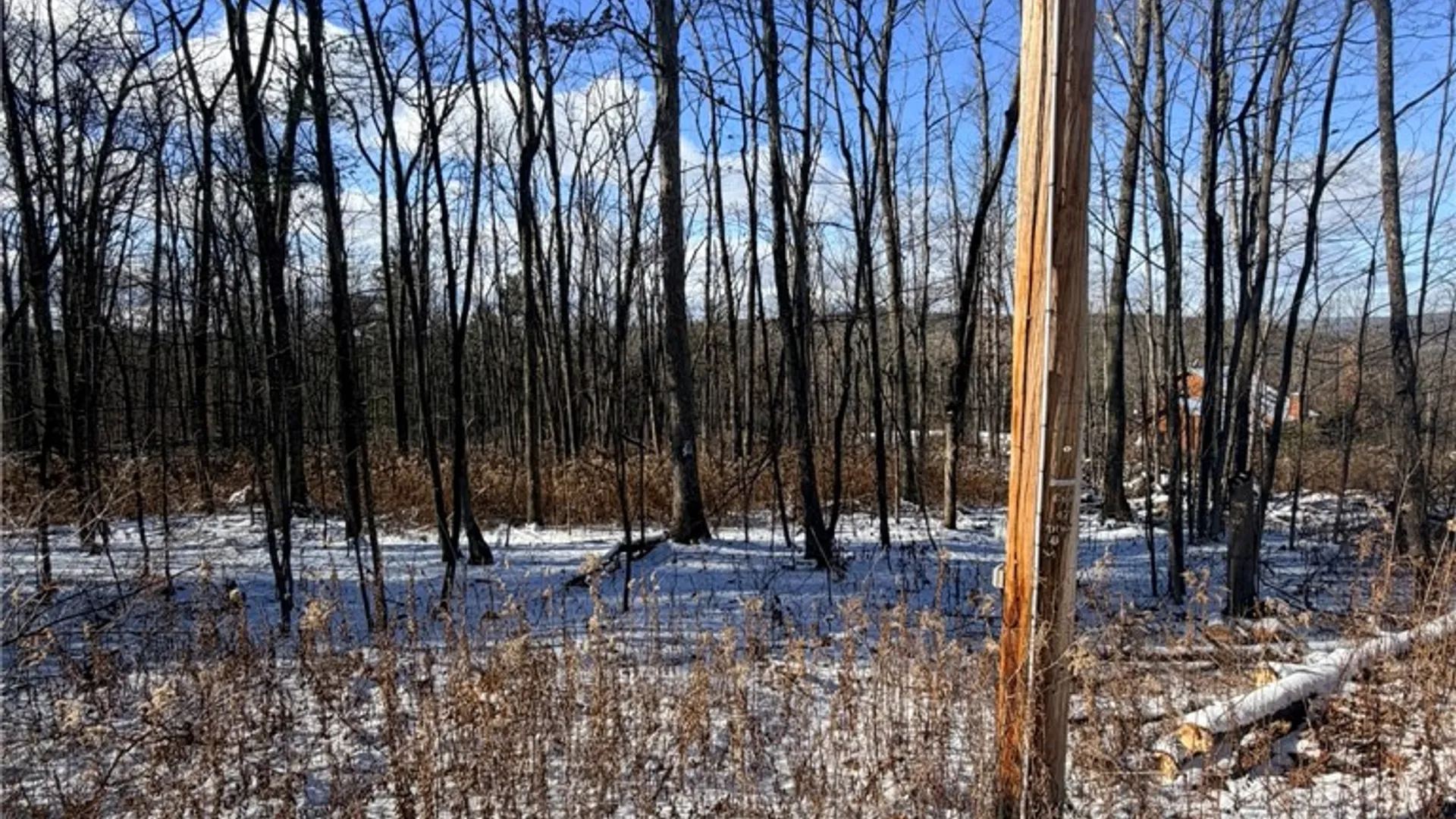 Property at Steege Hill Road, Big Flats, NY 14830 13