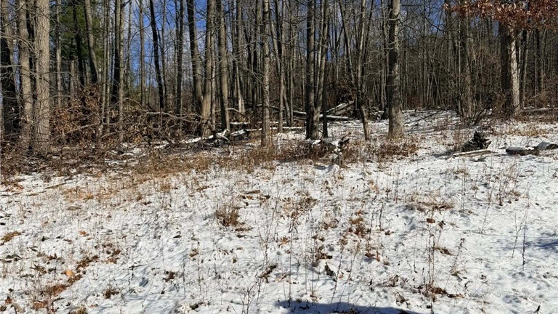 Property at Steege Hill Road, Big Flats, NY 14830 15
