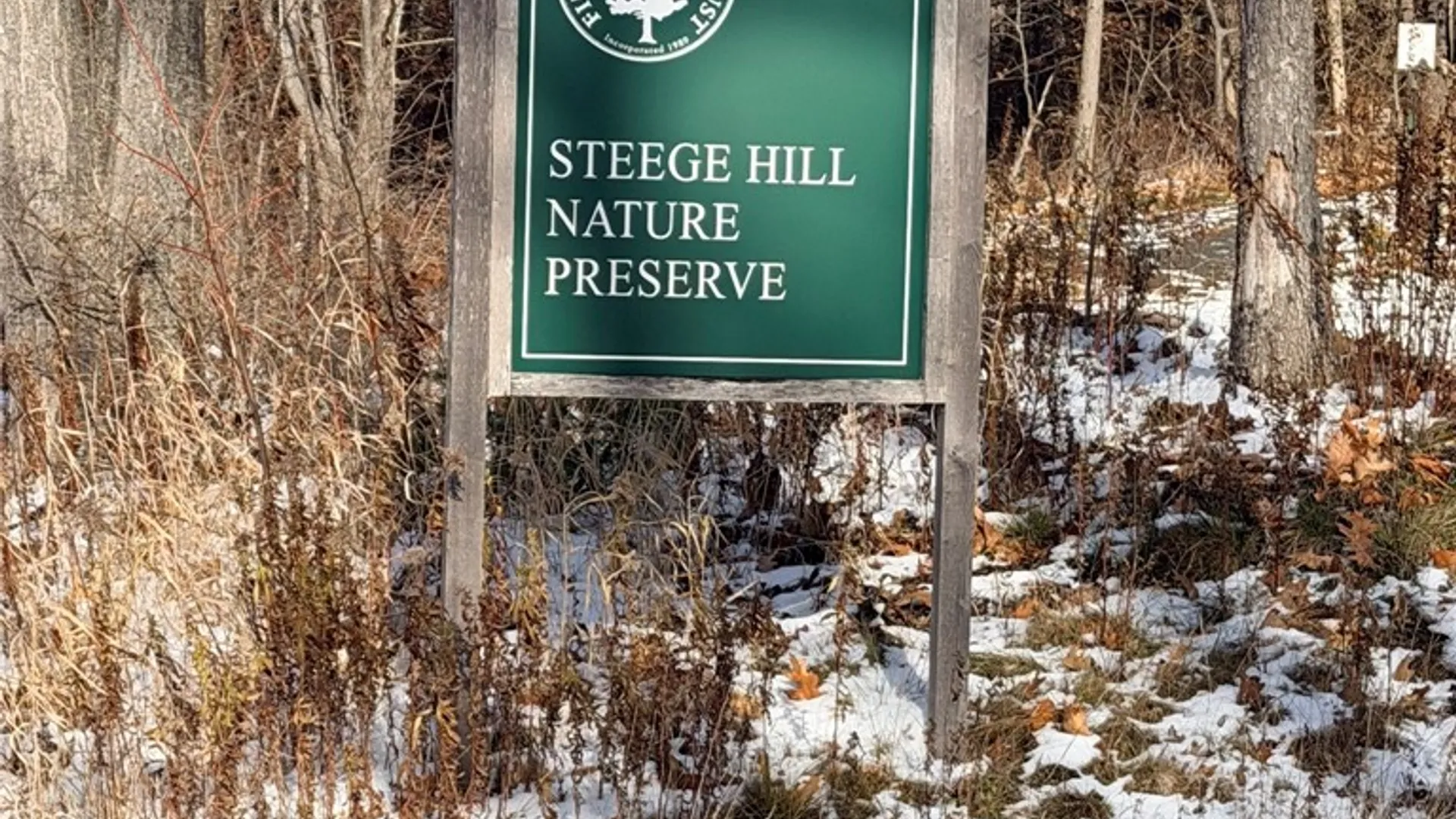 Property at Steege Hill Road, Big Flats, NY 14830 17