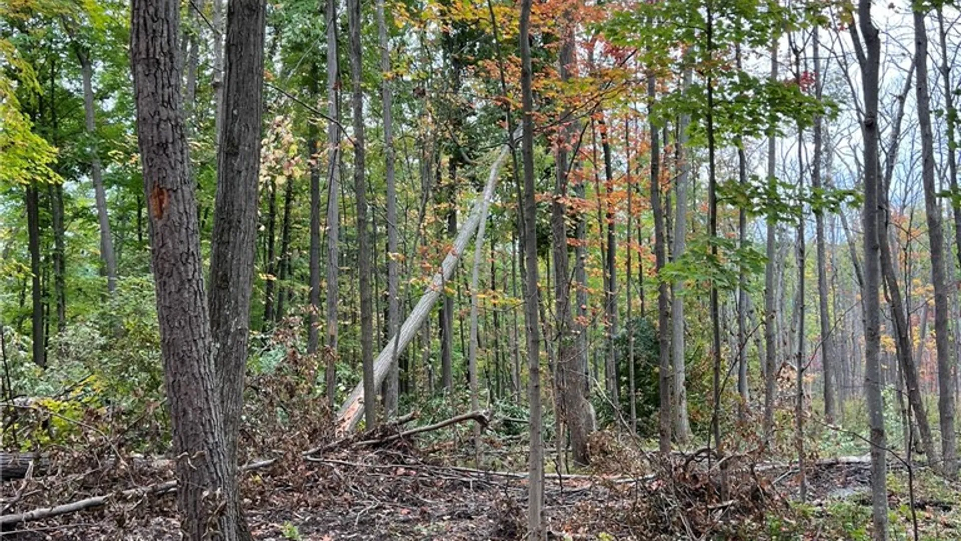 Property at Steege Hill Road, Big Flats, NY 14830 6