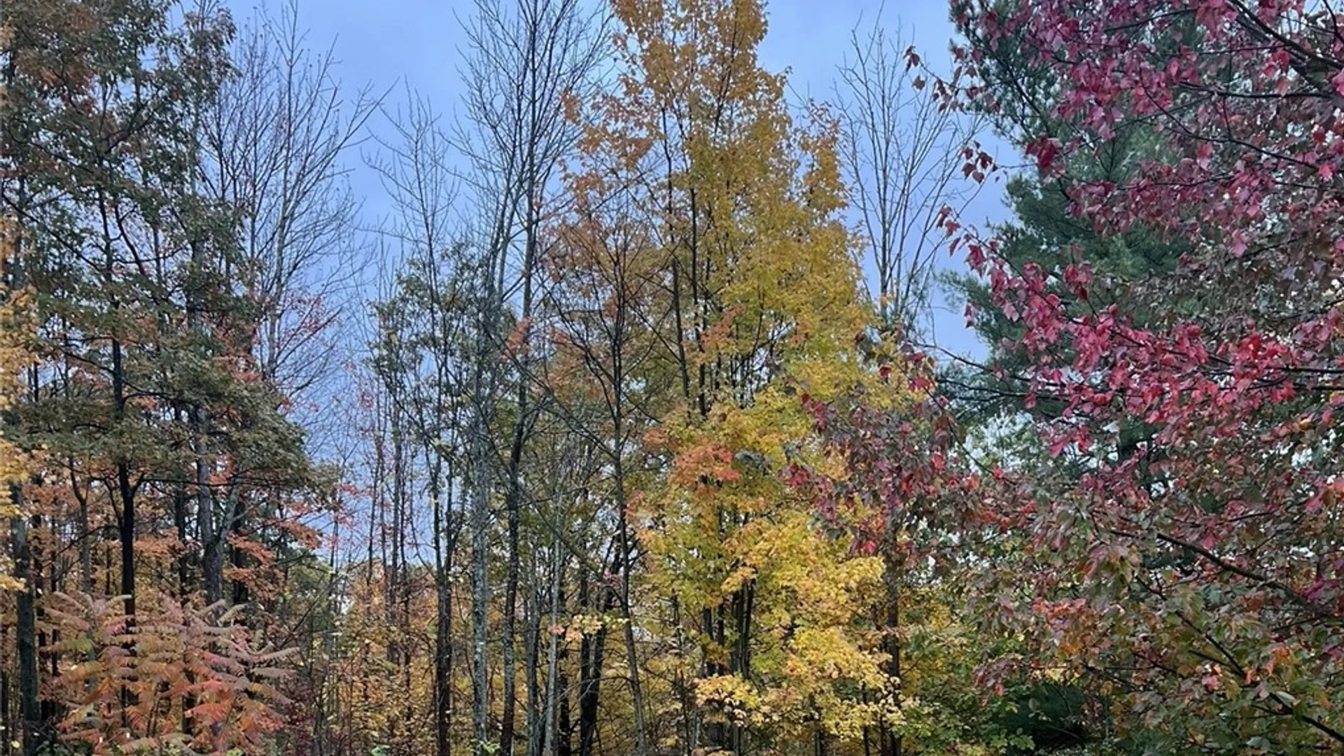 Property at Steege Hill Road, Big Flats, NY 14830 7