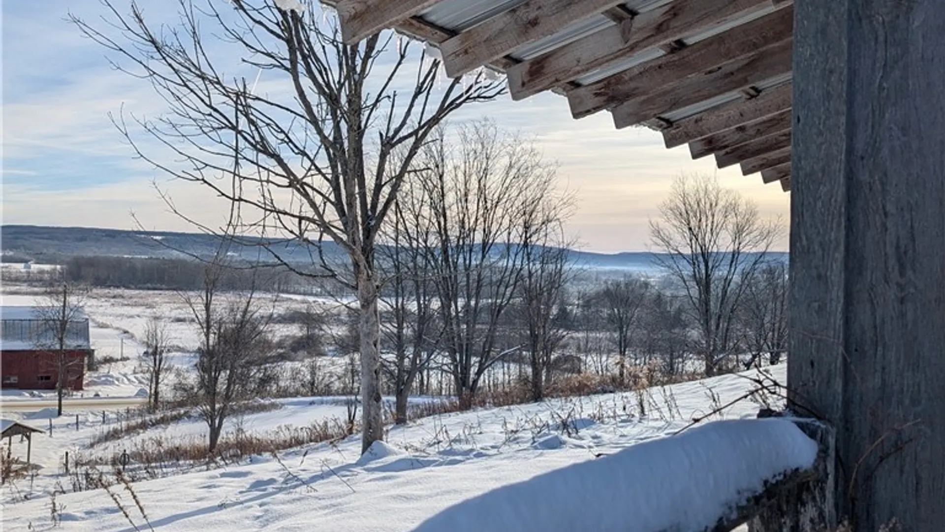 Property at 8483 Otto Road, Otto, NY 14719 24