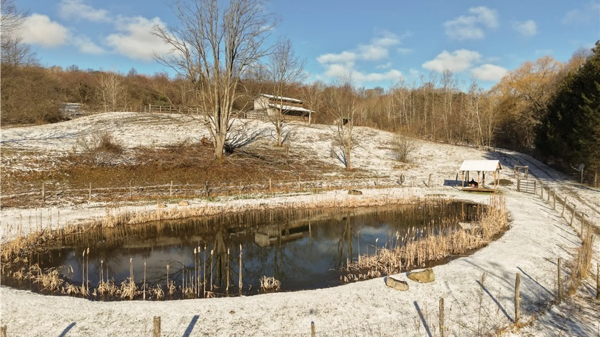 Property at 8483 Otto Road, Otto, NY 14719 34