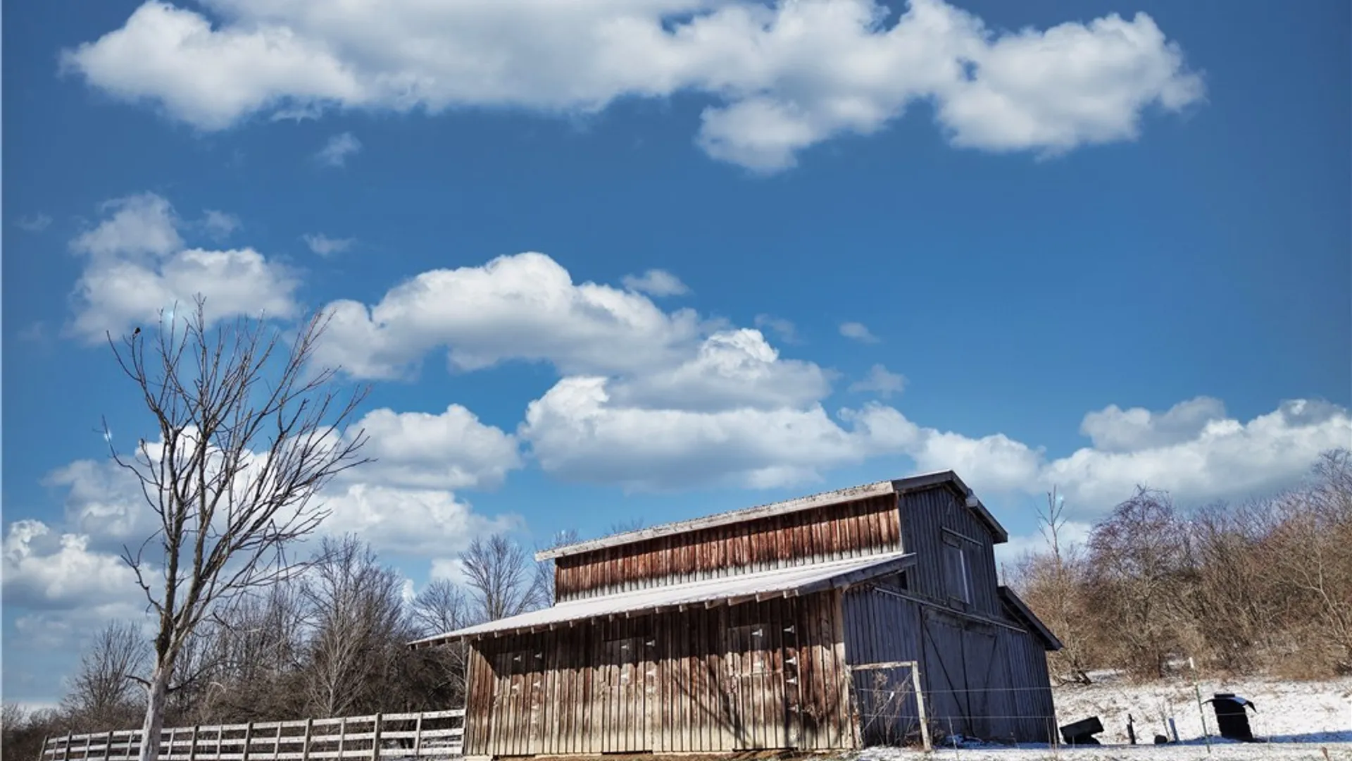 Property at 8483 Otto Road, Otto, NY 14719 41