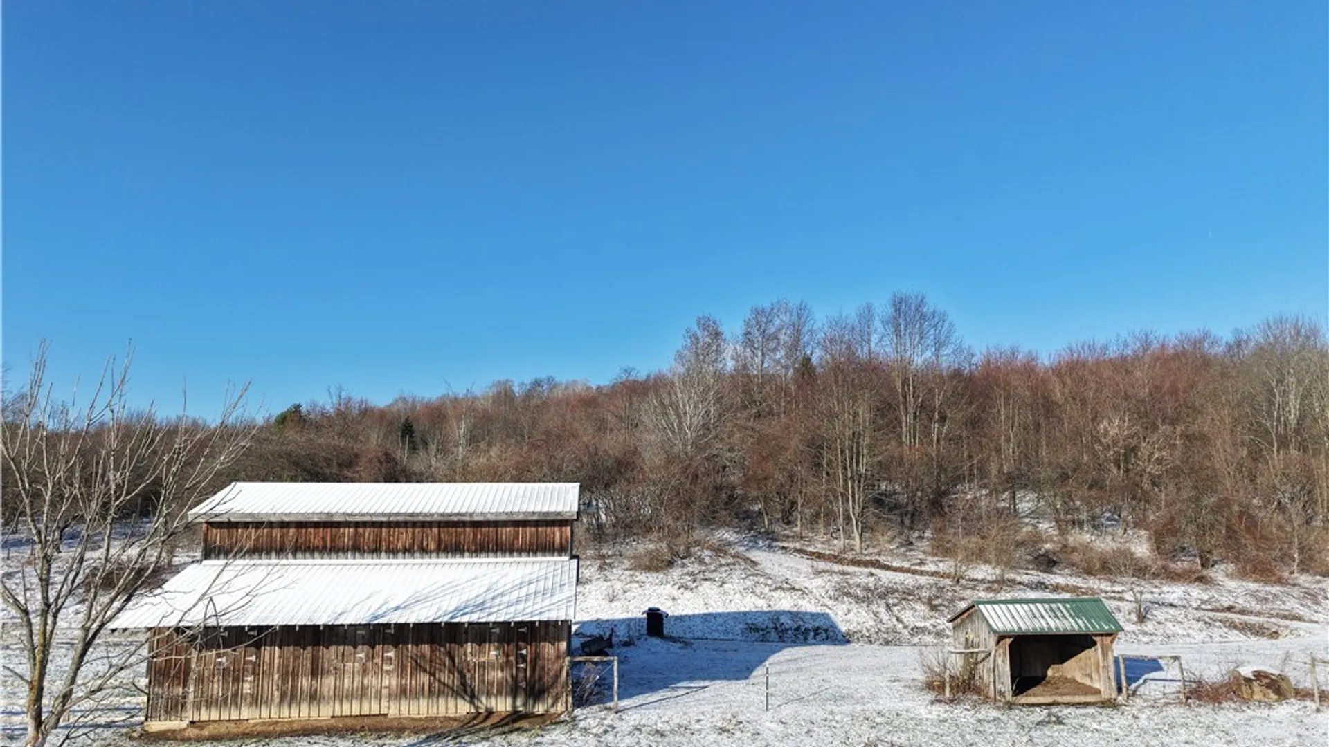 Property at 8483 Otto Road, Otto, NY 14719 42