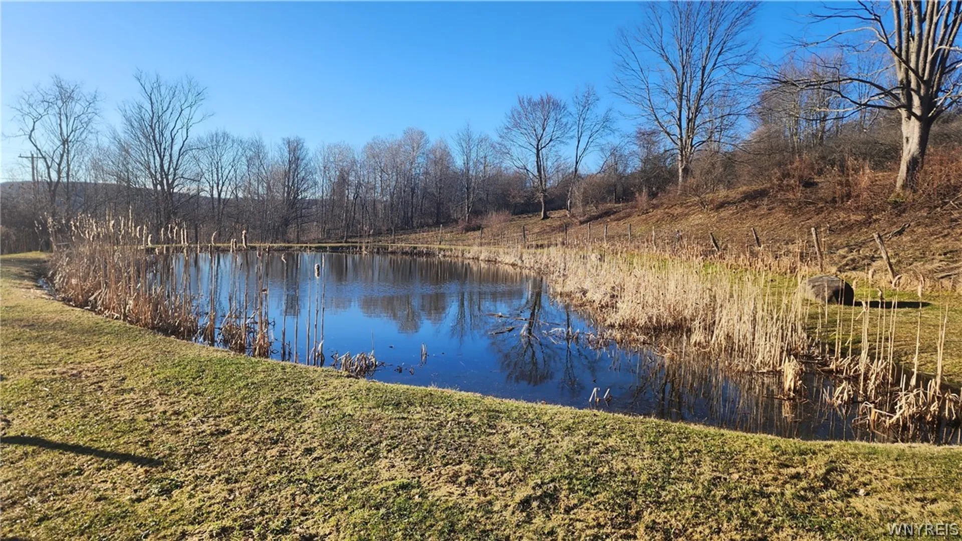 Property at 8483 Otto Road, Otto, NY 14719 5