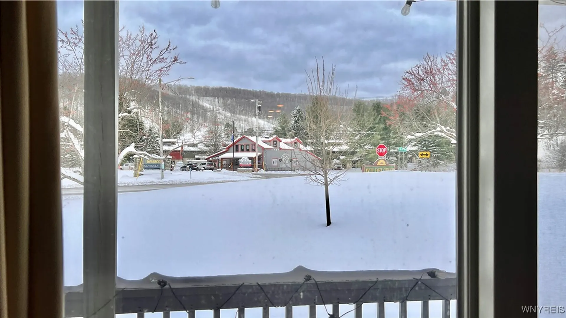 Property at 5 Wildflower Apts, Ellicottville, NY 14731 27