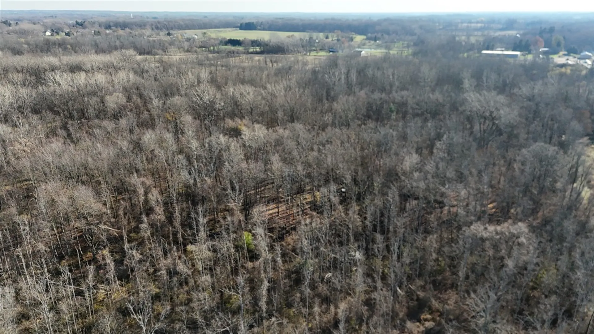 Property at 0 Lynch Road, Murray, NY 14470 2