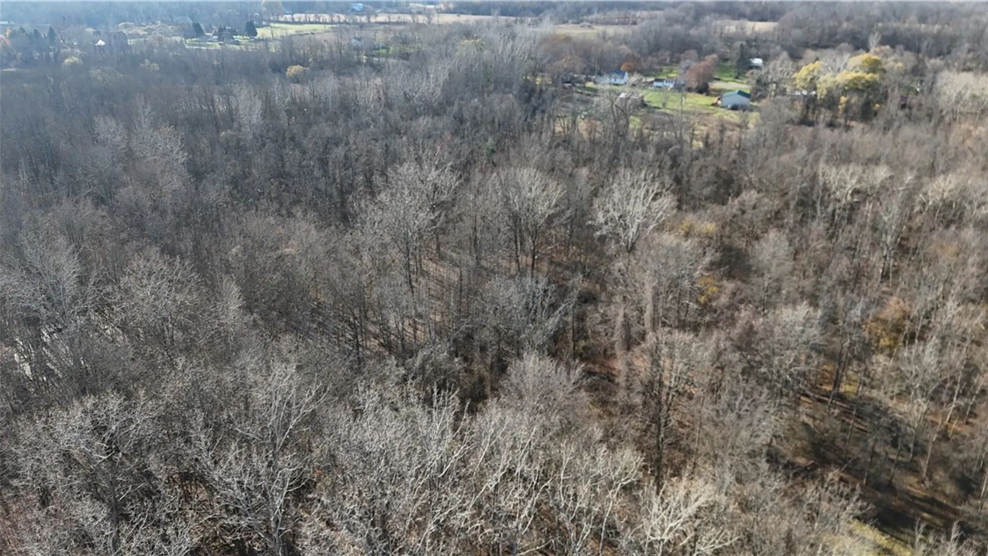 Property at 0 Lynch Road, Murray, NY 14470 3