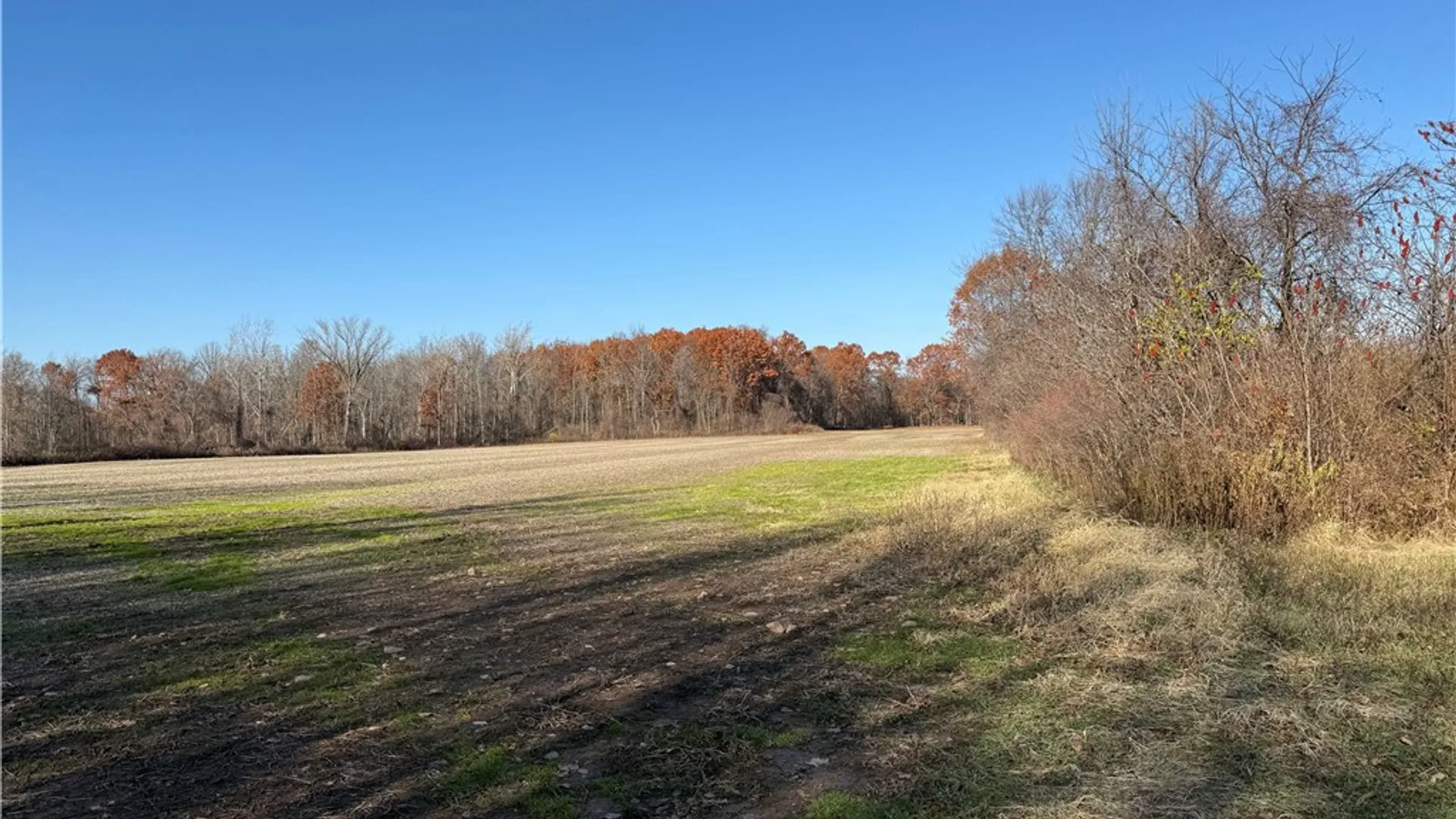 Property at 0 Lynch Road, Murray, NY 14470 4