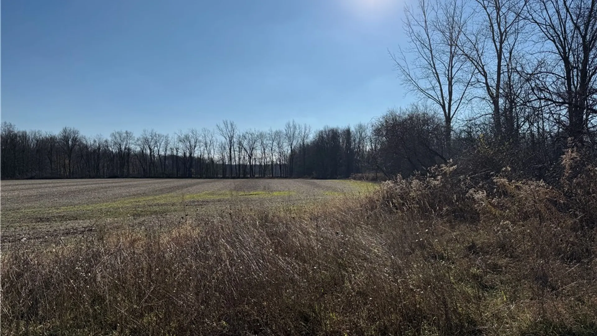 Property at 0 Lynch Road, Murray, NY 14470 6