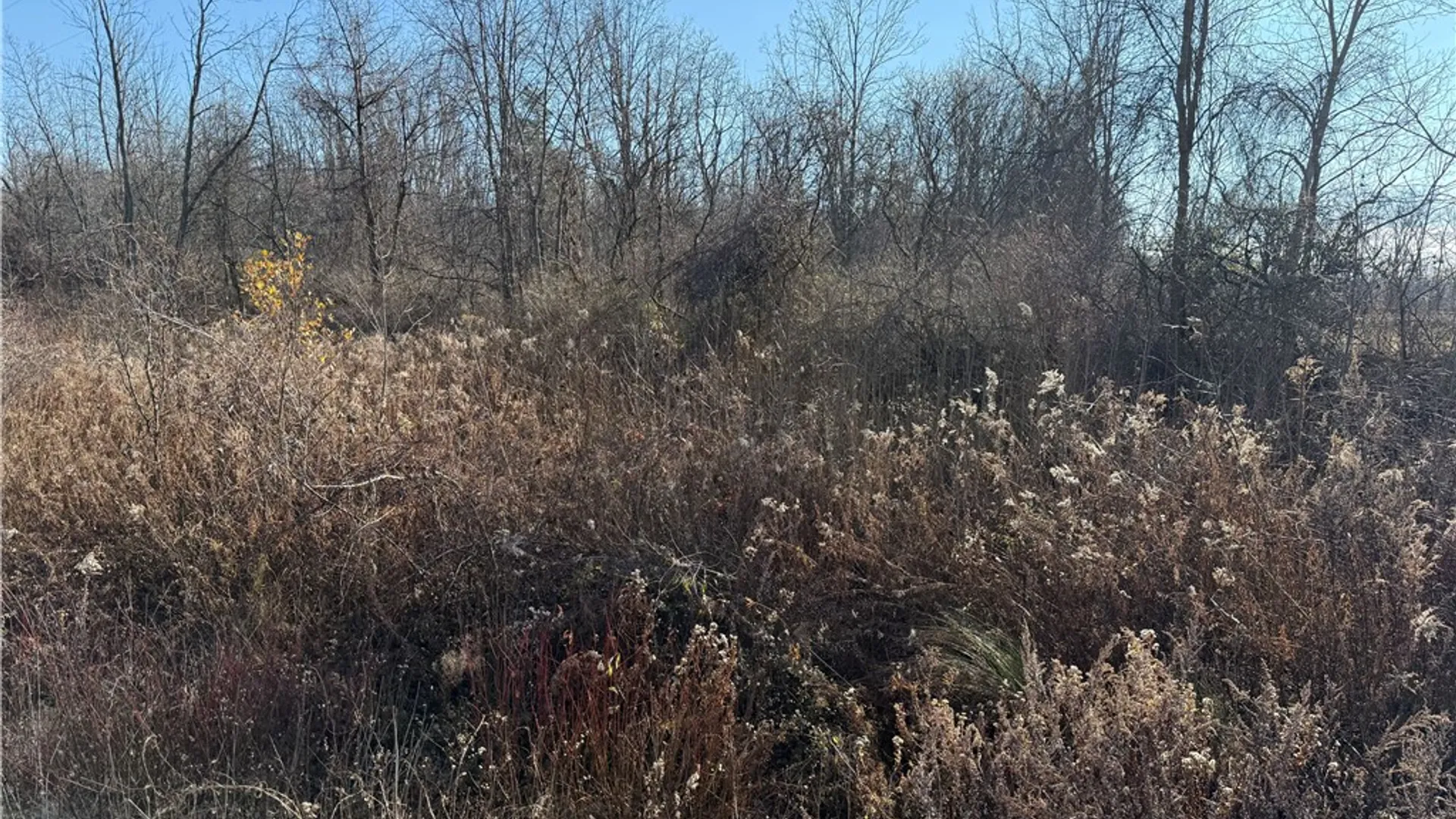 Property at 0 Lynch Road, Murray, NY 14470 7