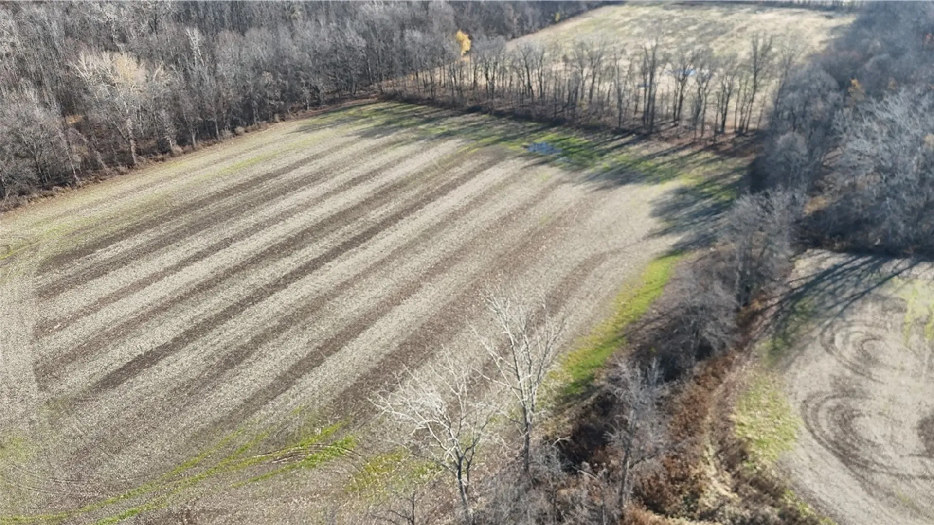 Property at 0 Lynch Road, Murray, NY 14470 8