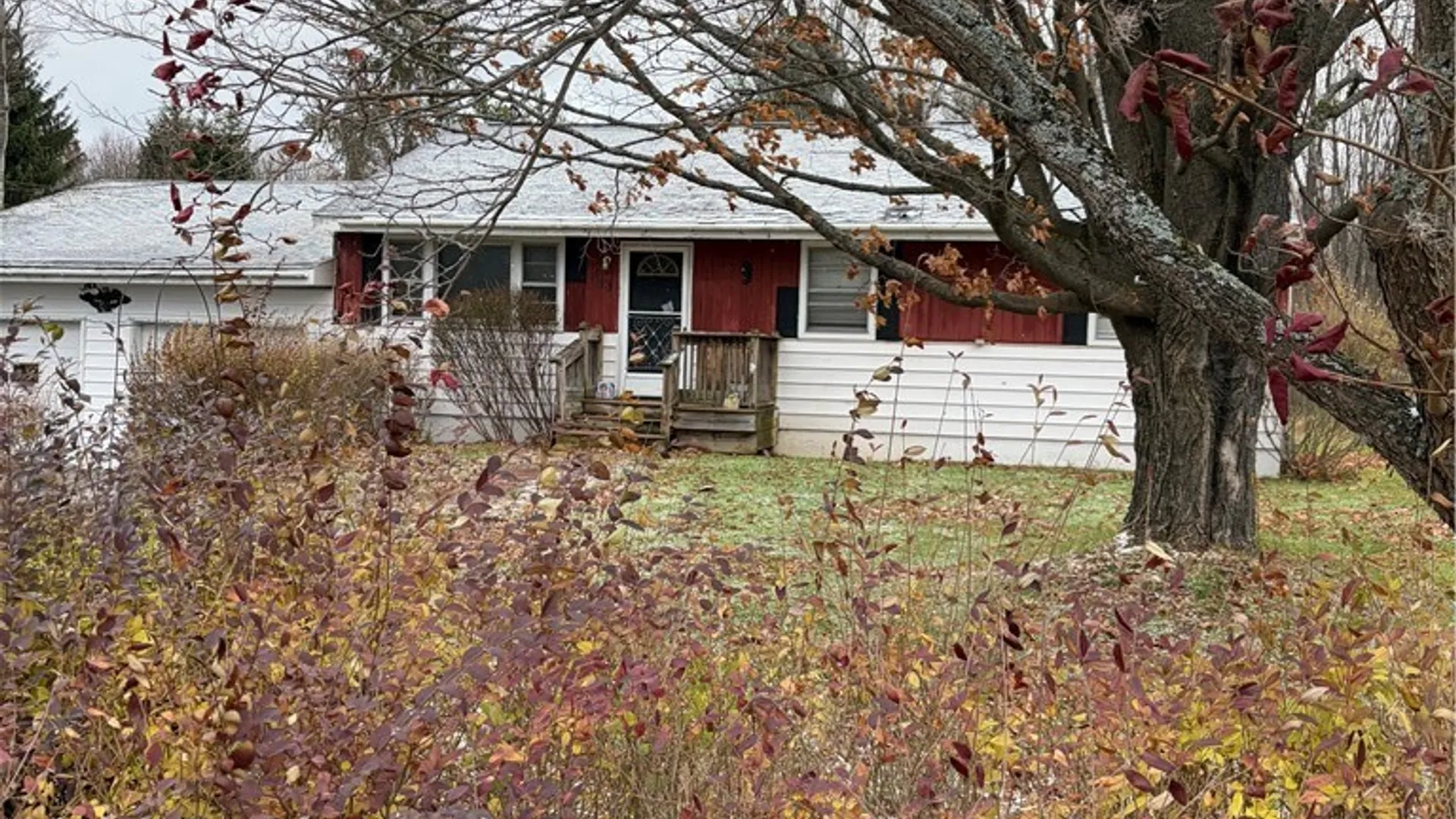 Property at 33 Reed Street, Charlotte, NY 14782 8