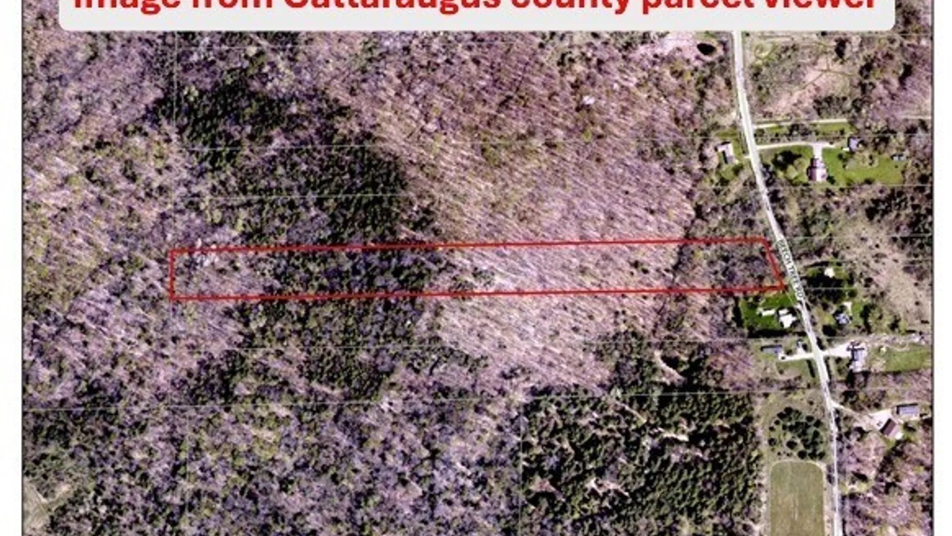 Property at Beech Tree Road, Ashford, NY 14171 14