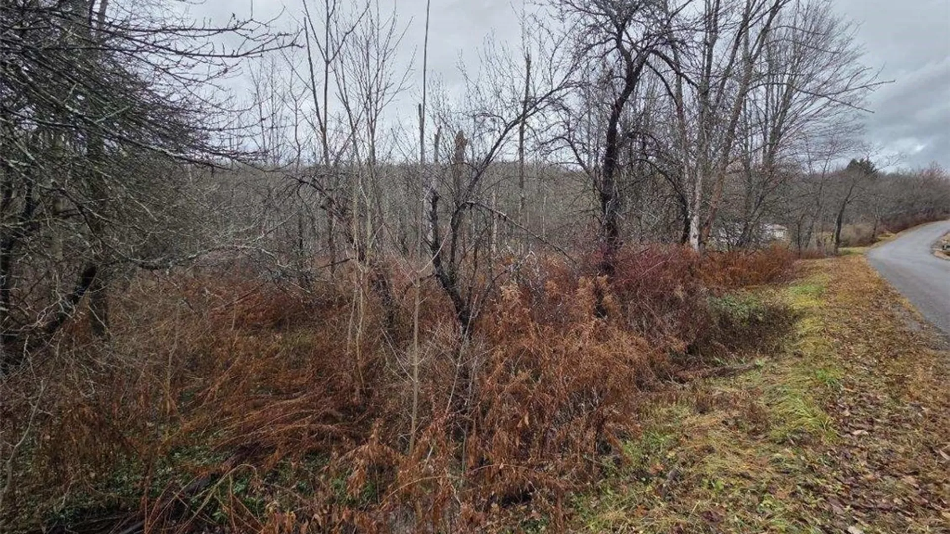 Property at Beech Tree Road, Ashford, NY 14171 9