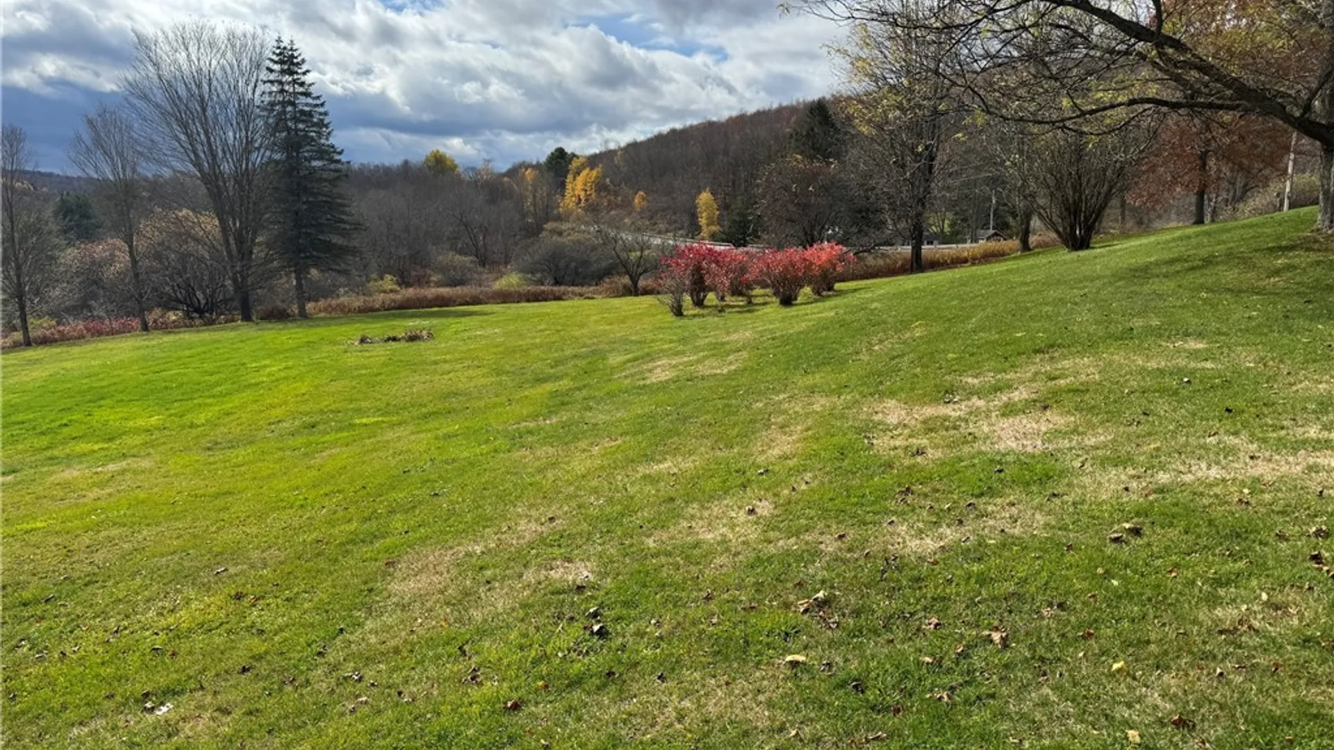 Property at 1490 County Highway 10, Meredith, NY 13757 13