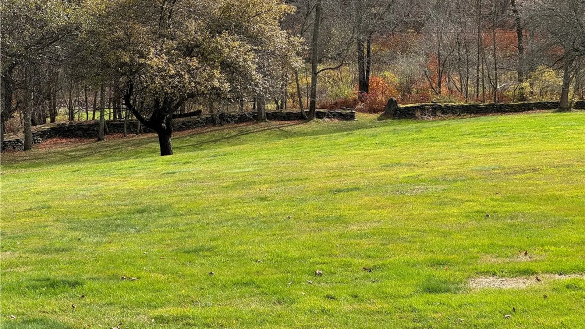 Property at 1490 County Highway 10, Meredith, NY 13757 15