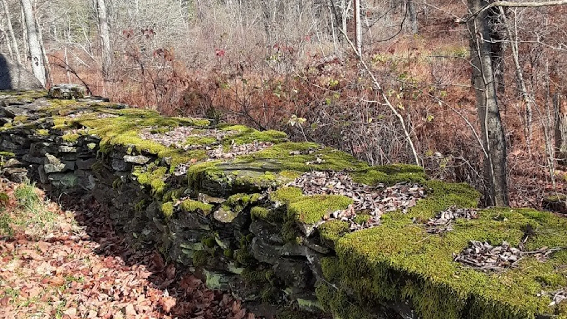 Property at 1490 County Highway 10, Meredith, NY 13757 45