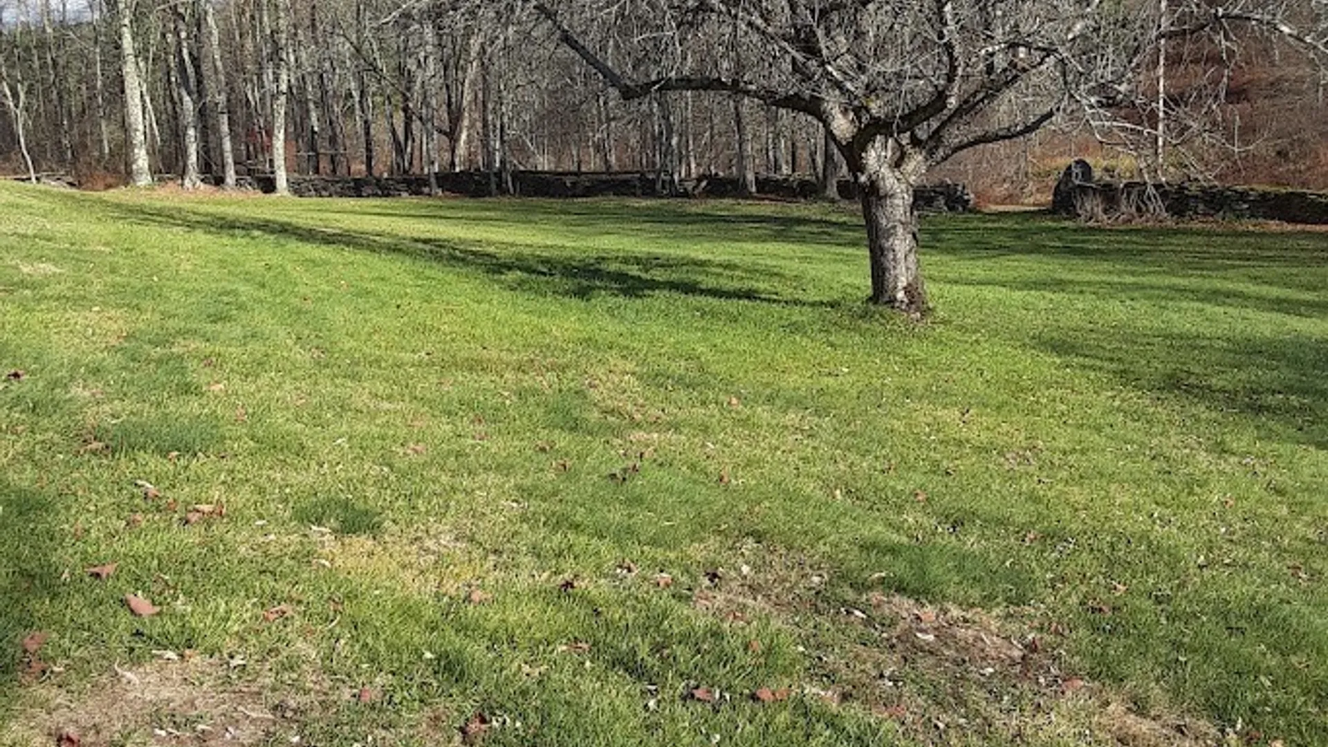 Property at 1490 County Highway 10, Meredith, NY 13757 49