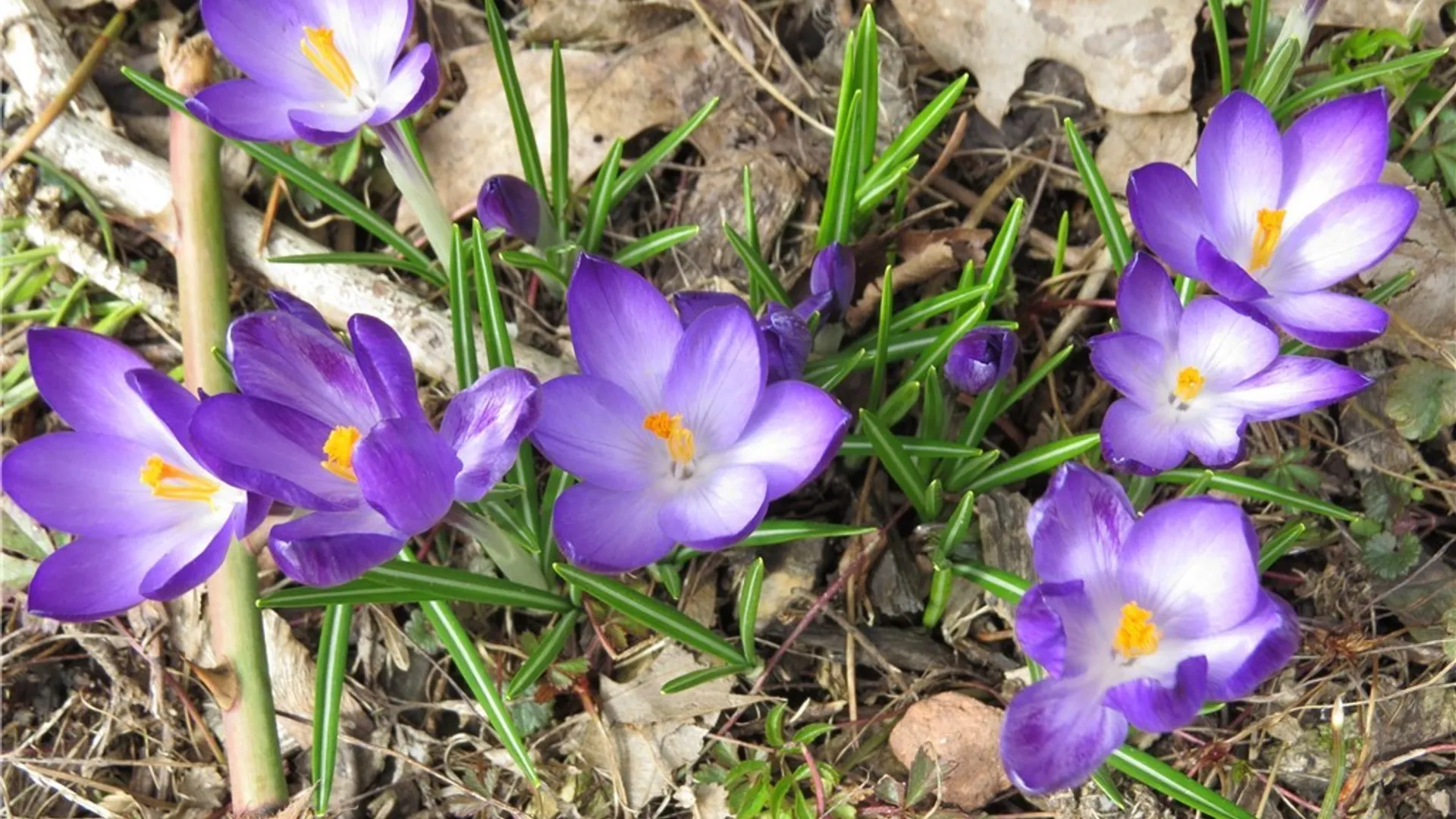 Property at 21 Gordon Place, German Flatts, NY 13357 24