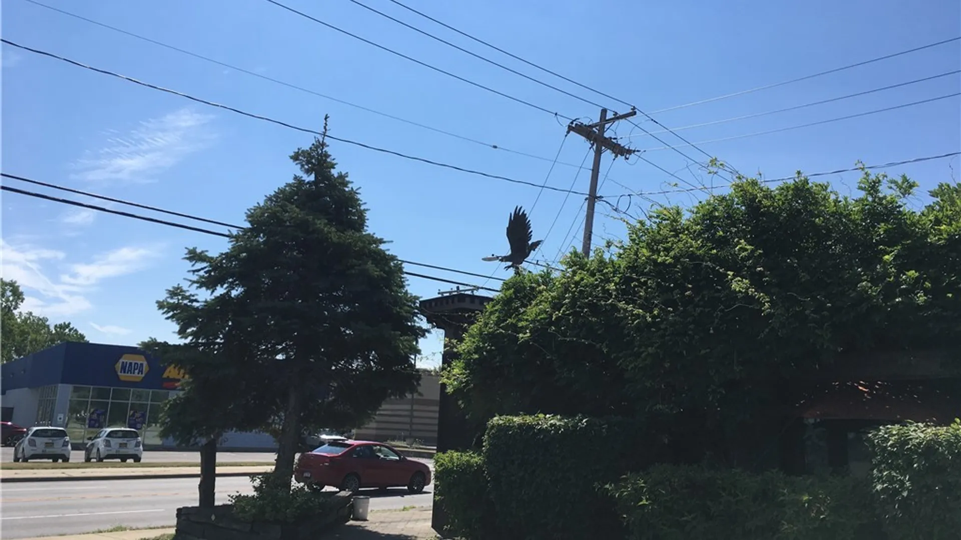 Property at 1305 Abbott Road, Lackawanna, NY 14218 39
