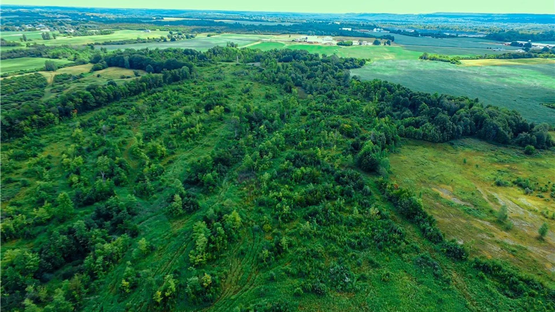 Property at 0 Co Rt 31, Pamelia, NY 13637 2