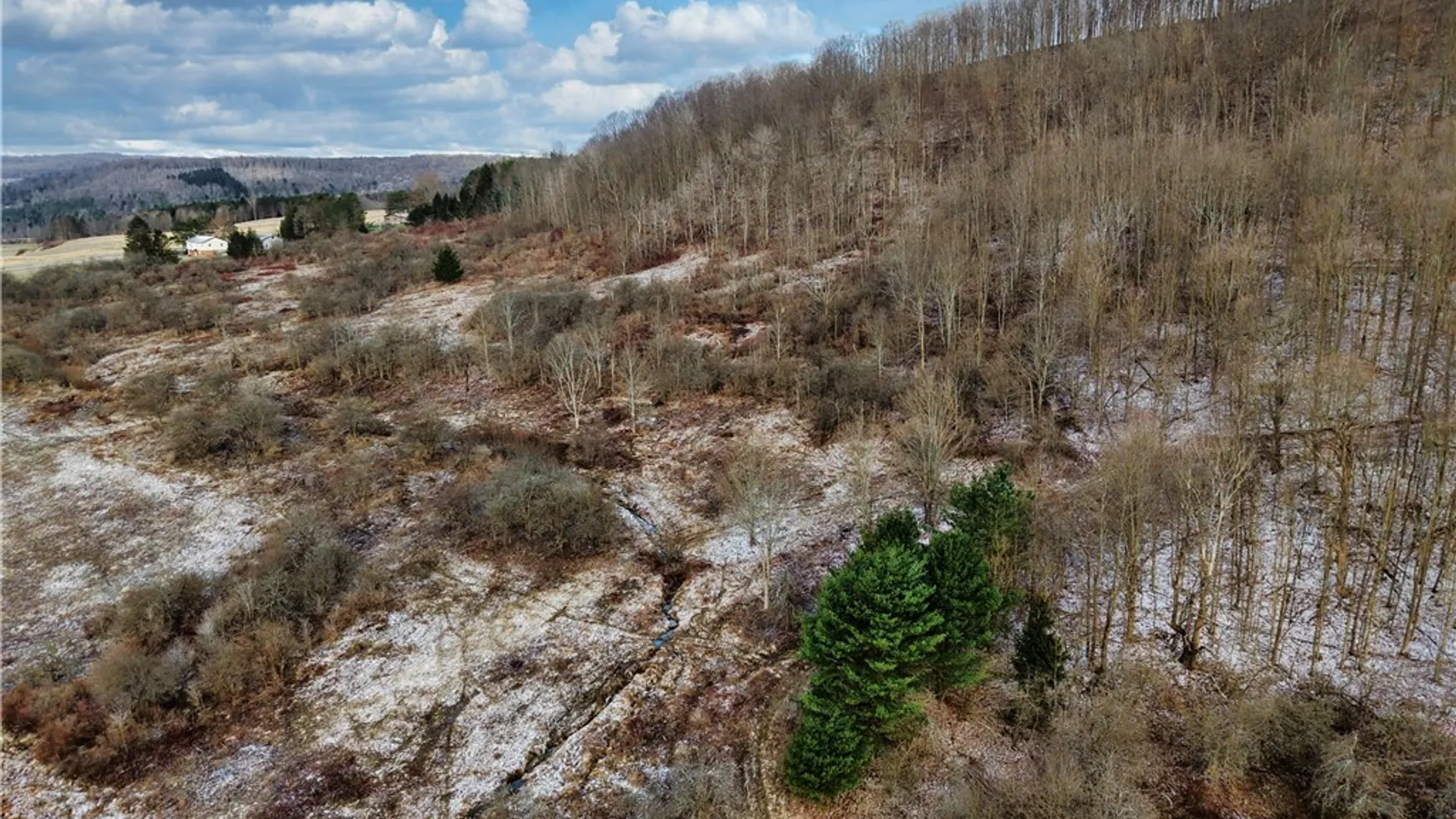Property at 6000 NYS Rte 242 Lot #7, Ellicottville, NY 14731 10
