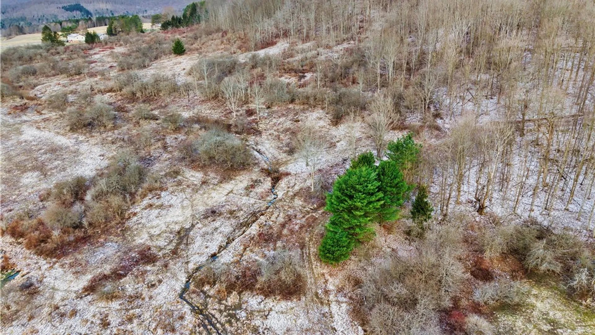 Property at 6000 NYS Rte 242 Lot #7, Ellicottville, NY 14731 9