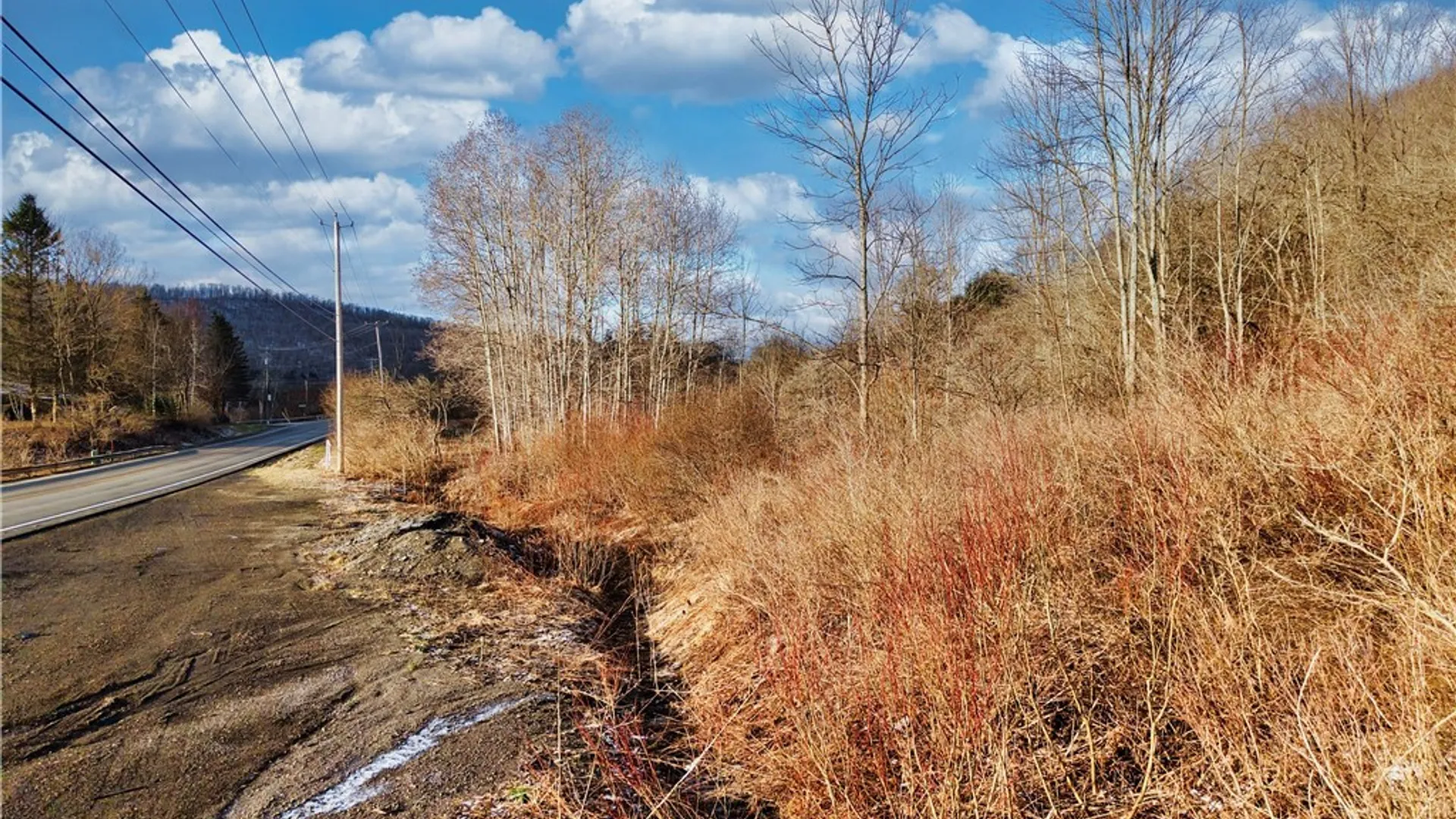 Property at 6010 NYS Rte 242 Lot #6, Ellicottville, NY 14731 9