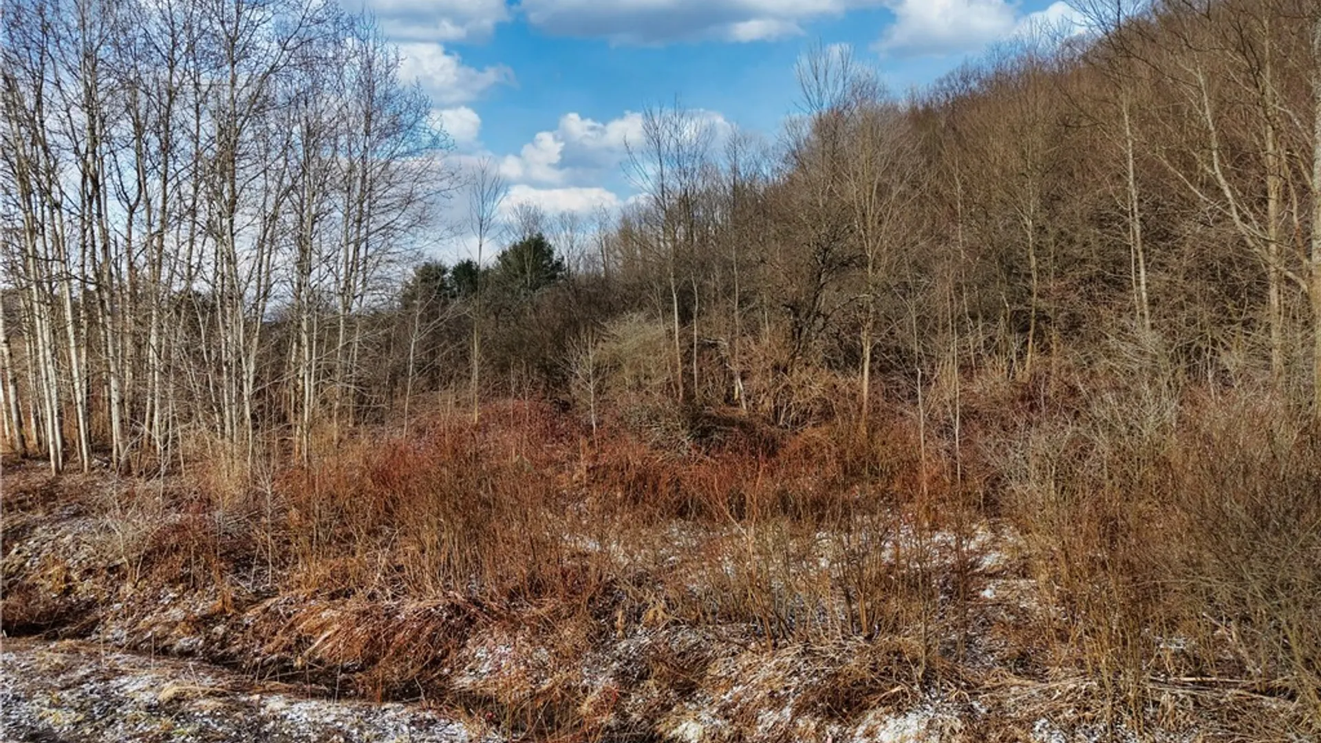Property at 6020 NYS Rte 242 Lot #5, Ellicottville, NY 14731 10