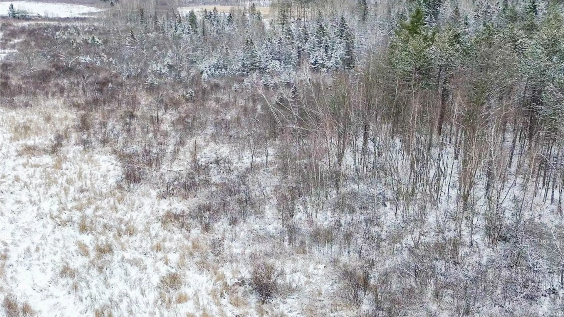 Property at Eddy Road, Theresa, NY 13691 10