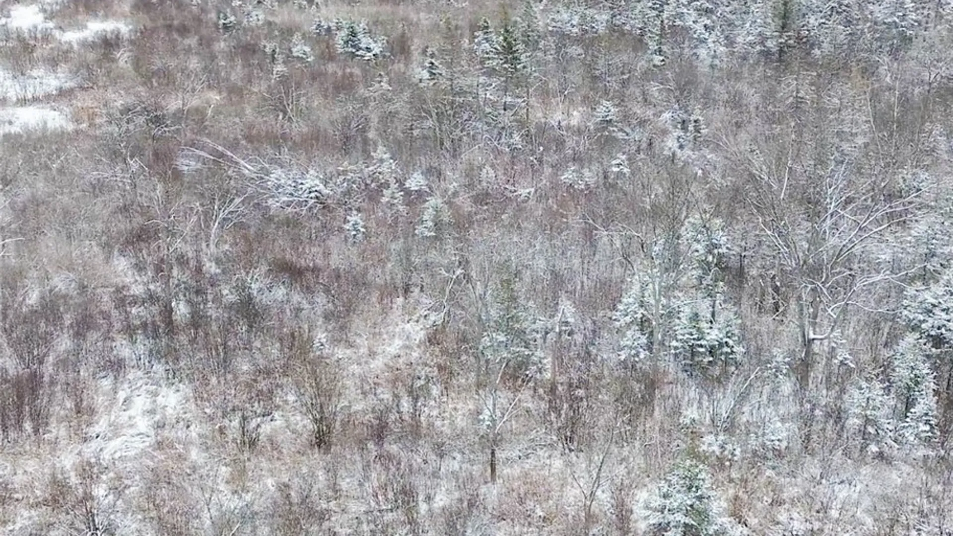 Property at Eddy Road, Theresa, NY 13691 12