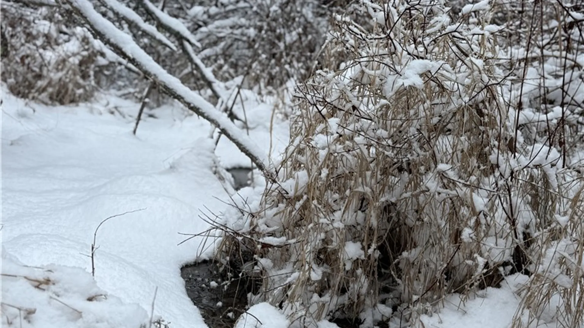 Property at Eddy Road, Theresa, NY 13691 13