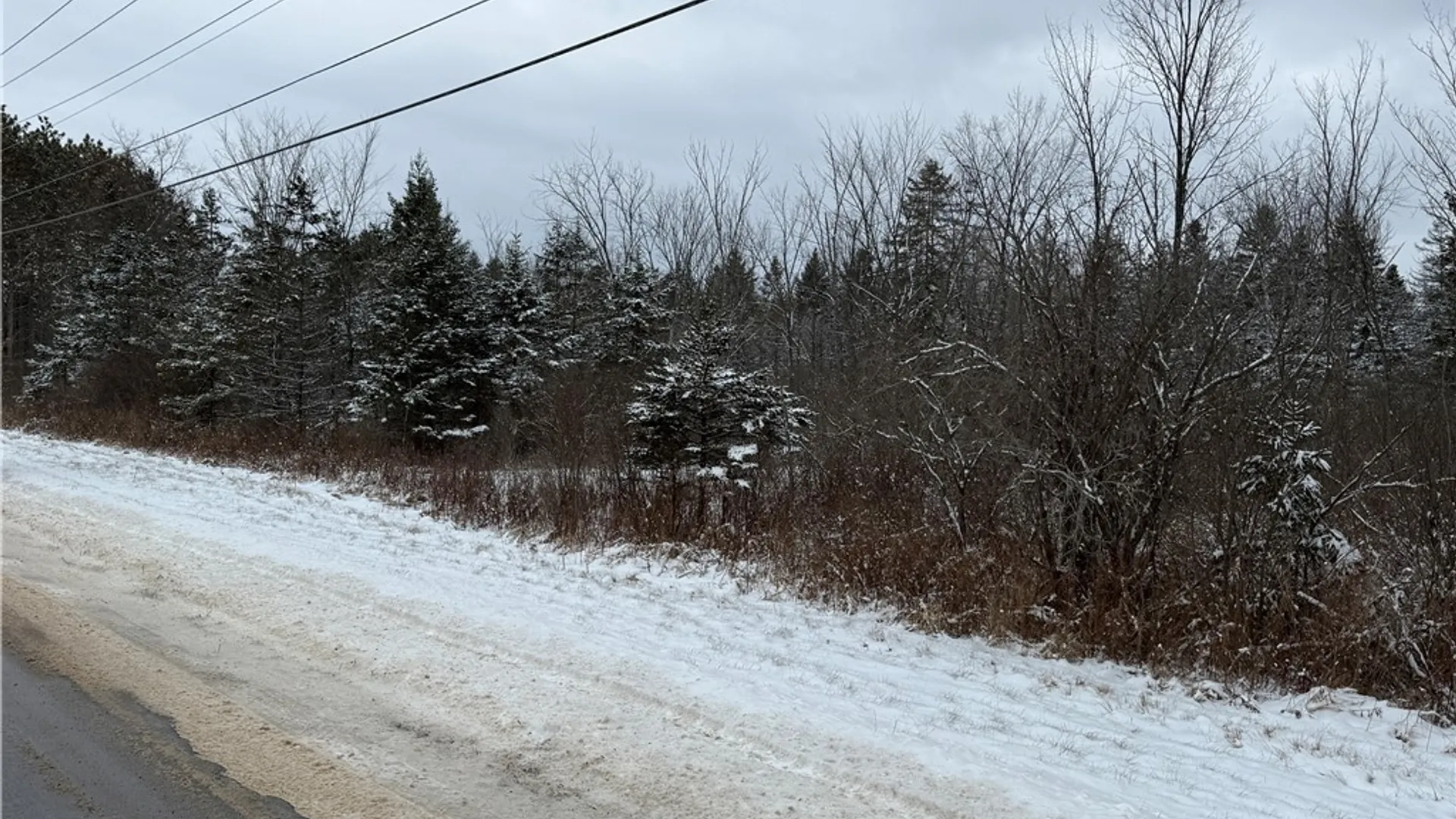 Property at Eddy Road, Theresa, NY 13691 14