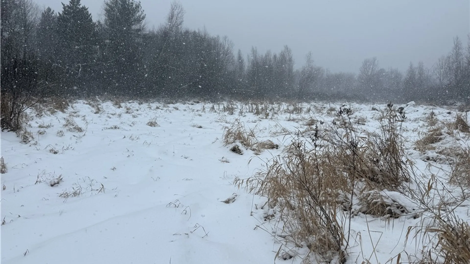 Property at Eddy Road, Theresa, NY 13691 15