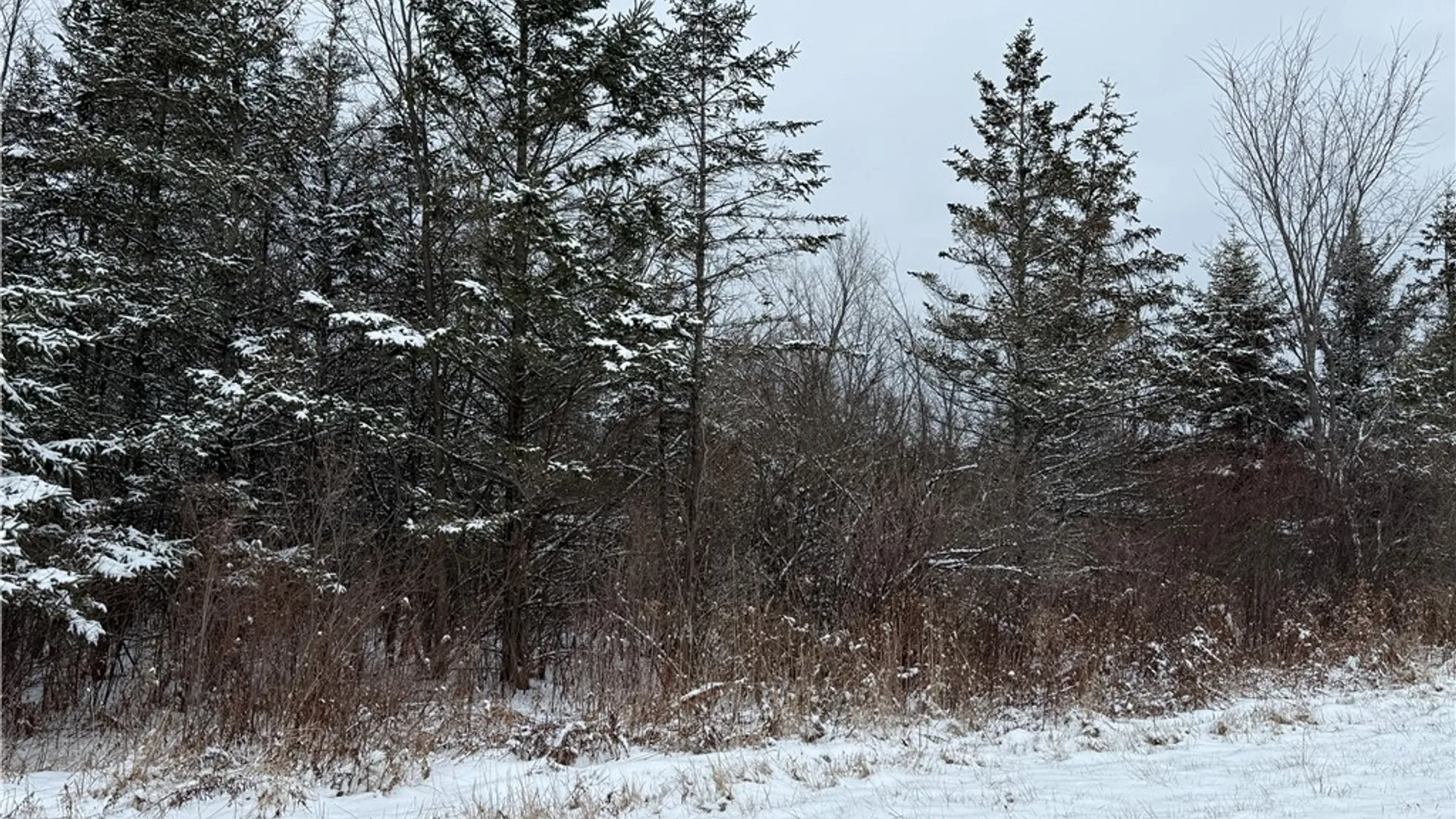 Property at Eddy Road, Theresa, NY 13691 16