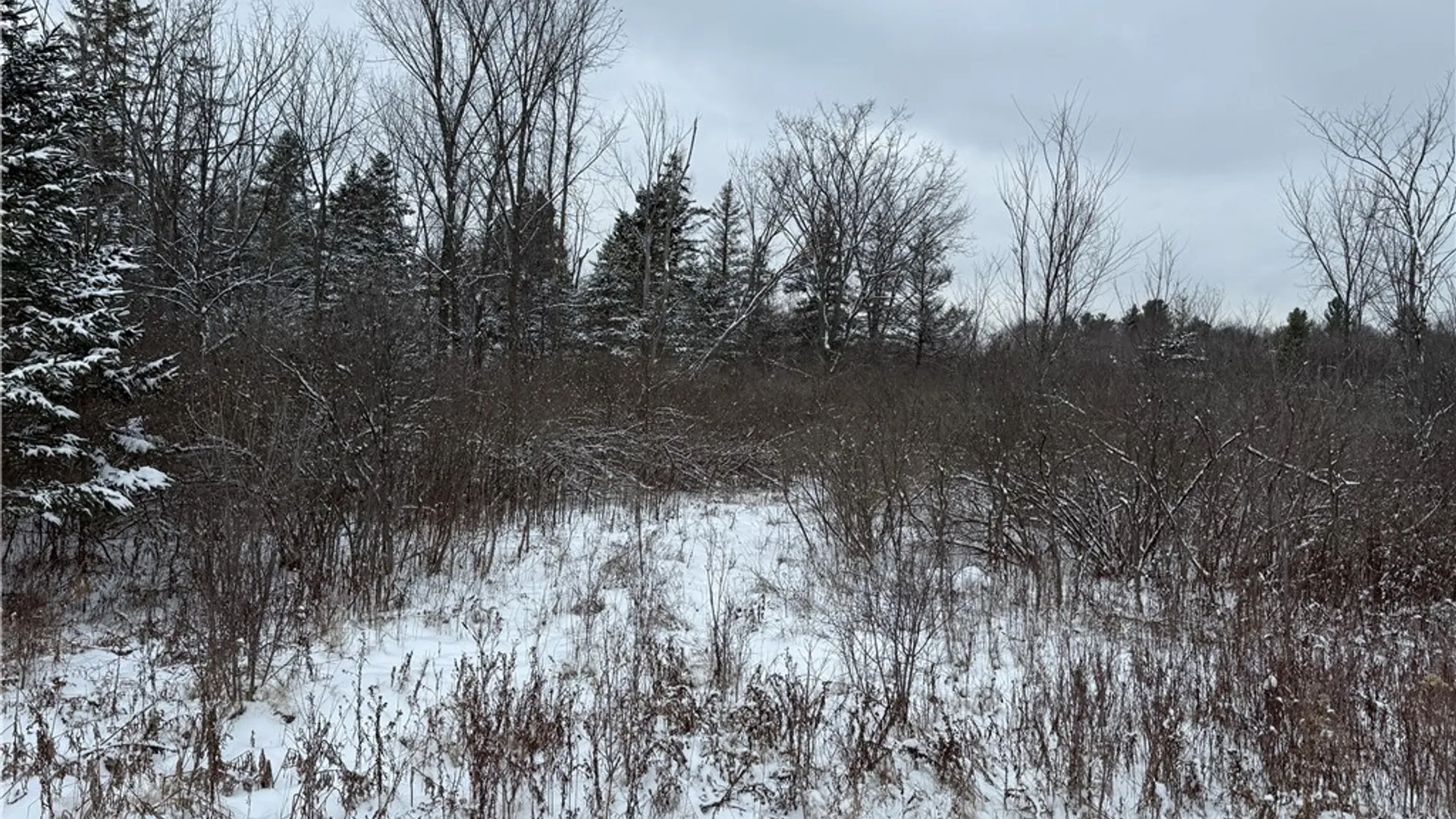 Property at Eddy Road, Theresa, NY 13691 17