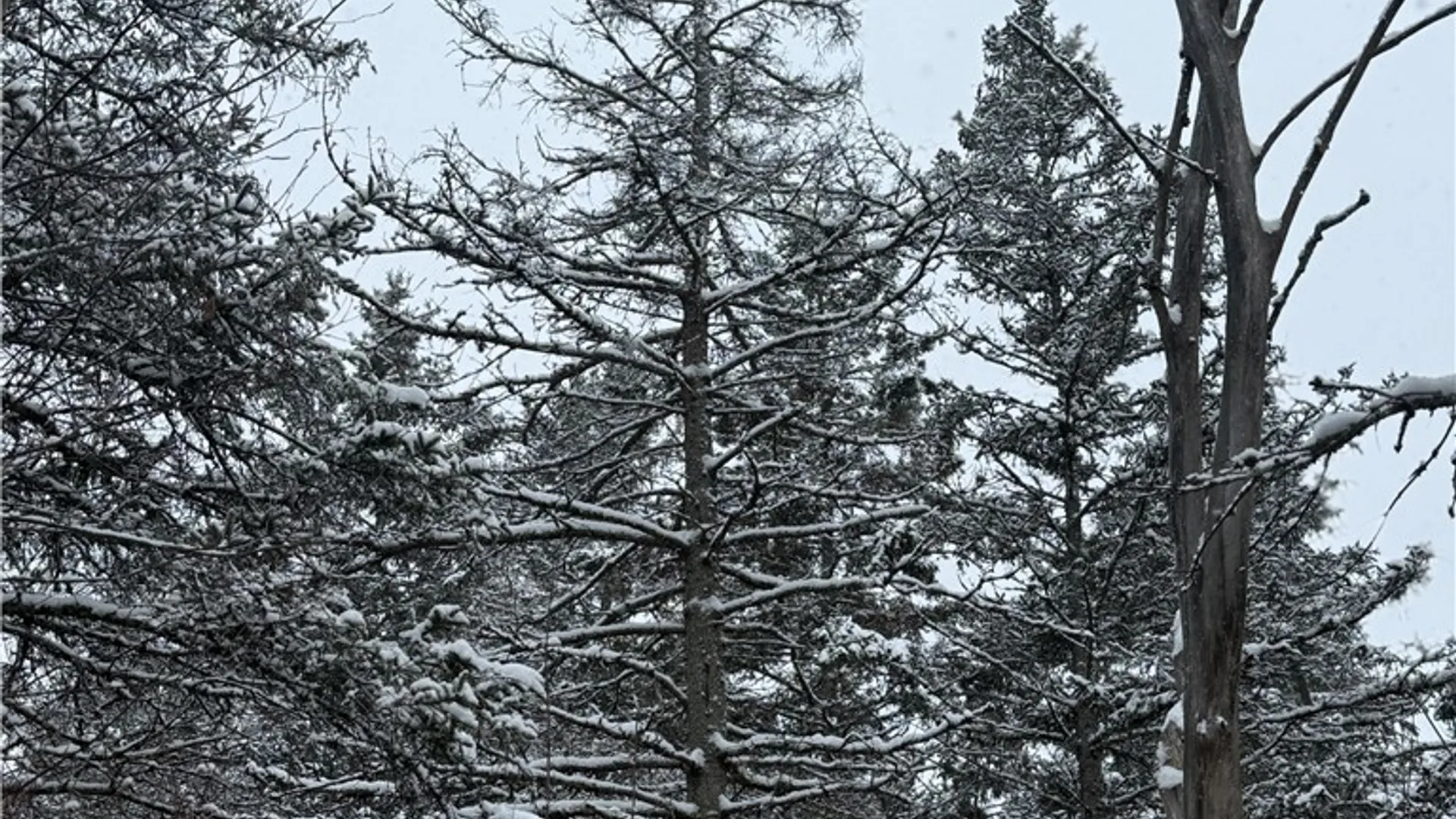 Property at Eddy Road, Theresa, NY 13691 19