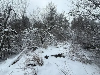 Property at Eddy Road, Theresa, NY 13691