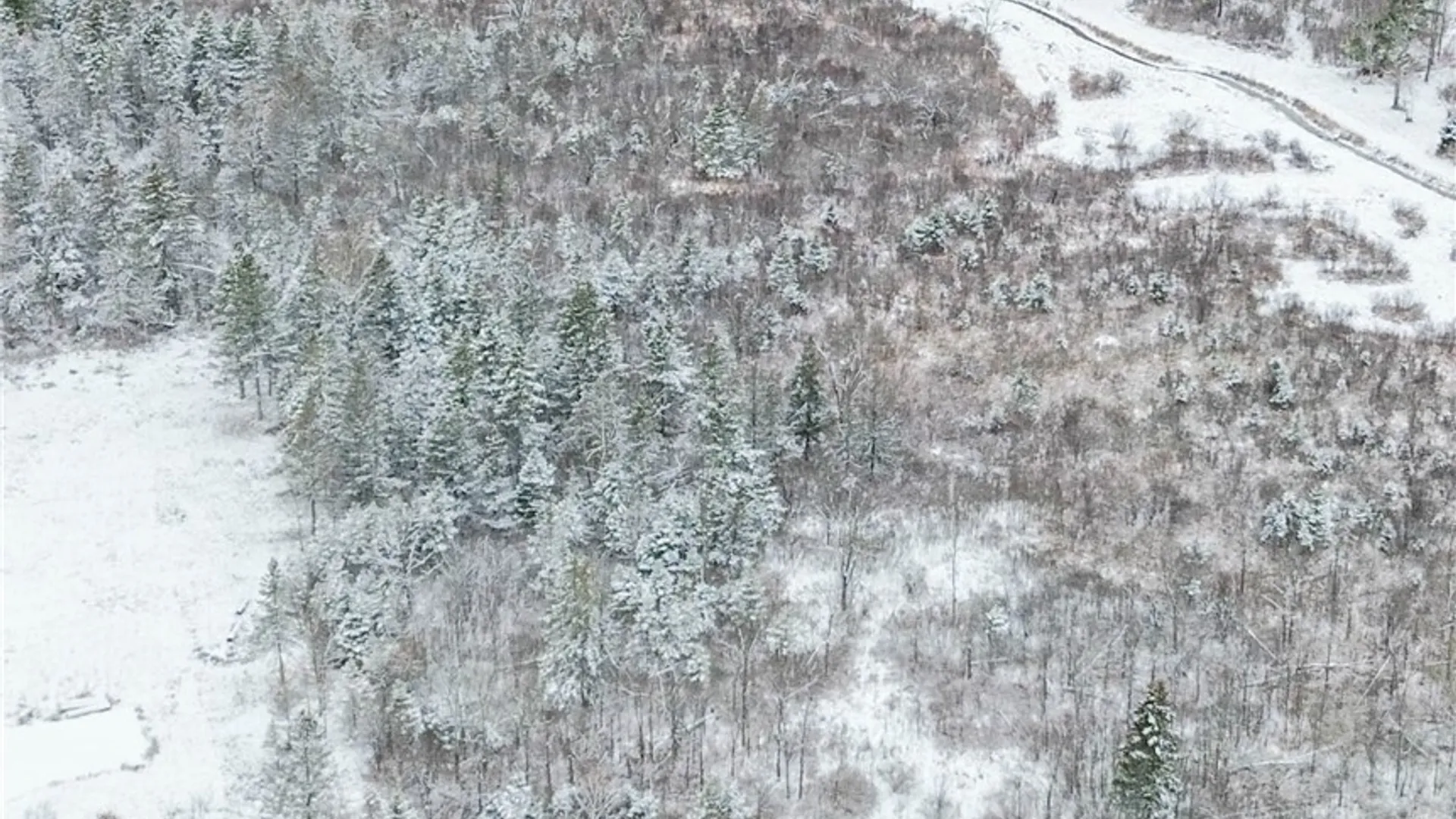 Property at Eddy Road, Theresa, NY 13691 2