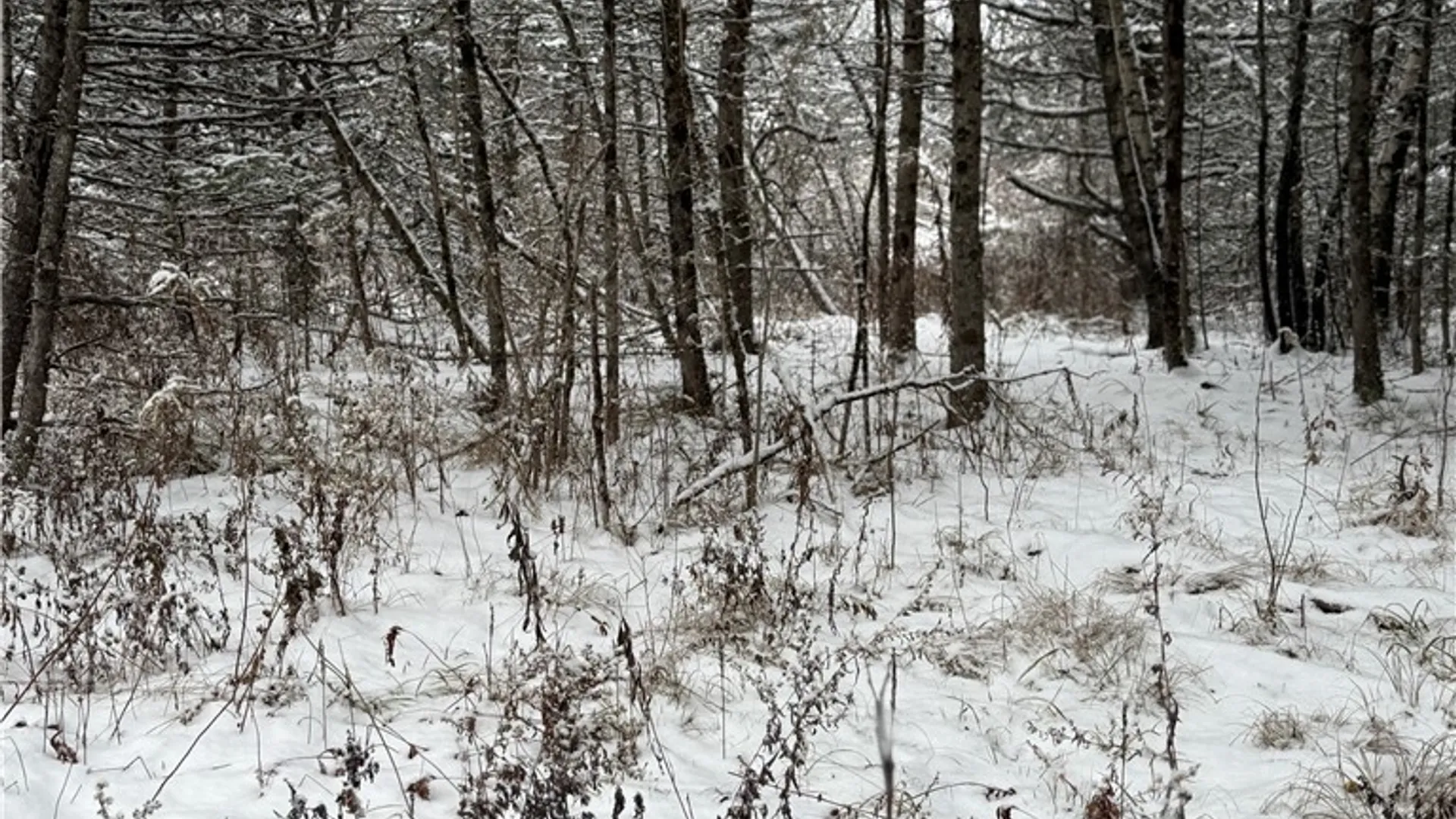 Property at Eddy Road, Theresa, NY 13691 20