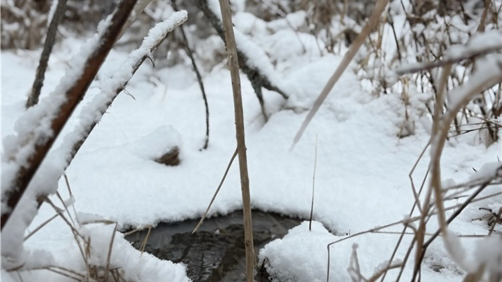 Property at Eddy Road, Theresa, NY 13691 22