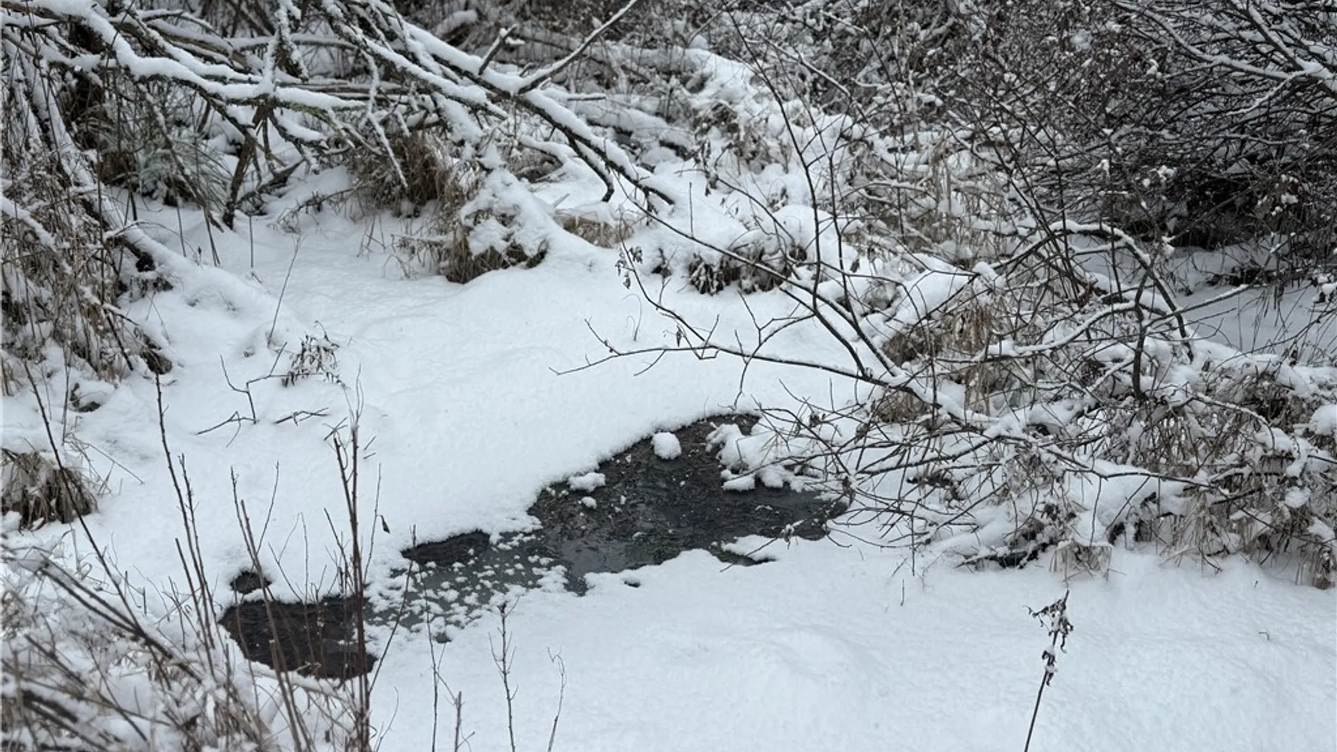 Property at Eddy Road, Theresa, NY 13691 23