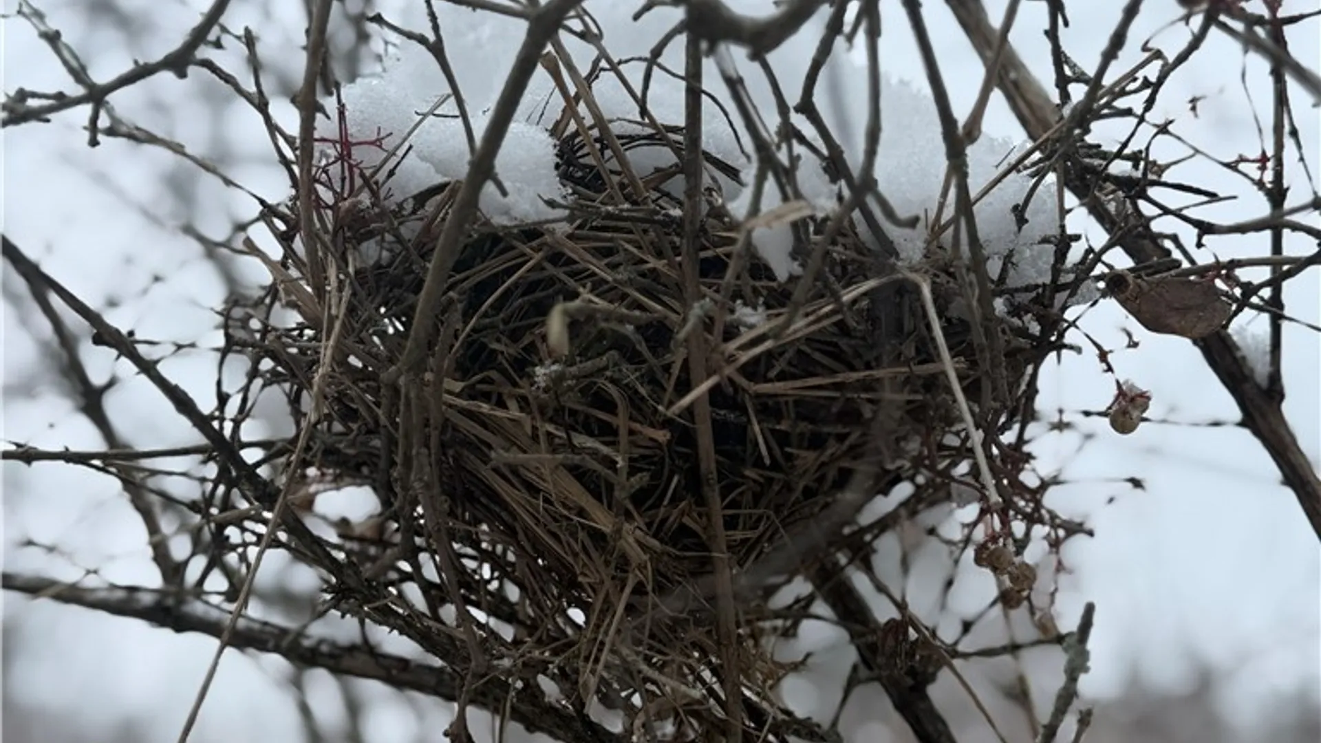 Property at Eddy Road, Theresa, NY 13691 24