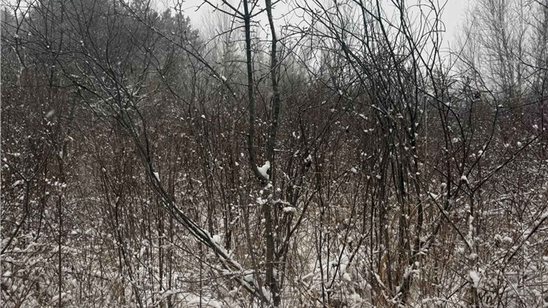 Property at Eddy Road, Theresa, NY 13691 25