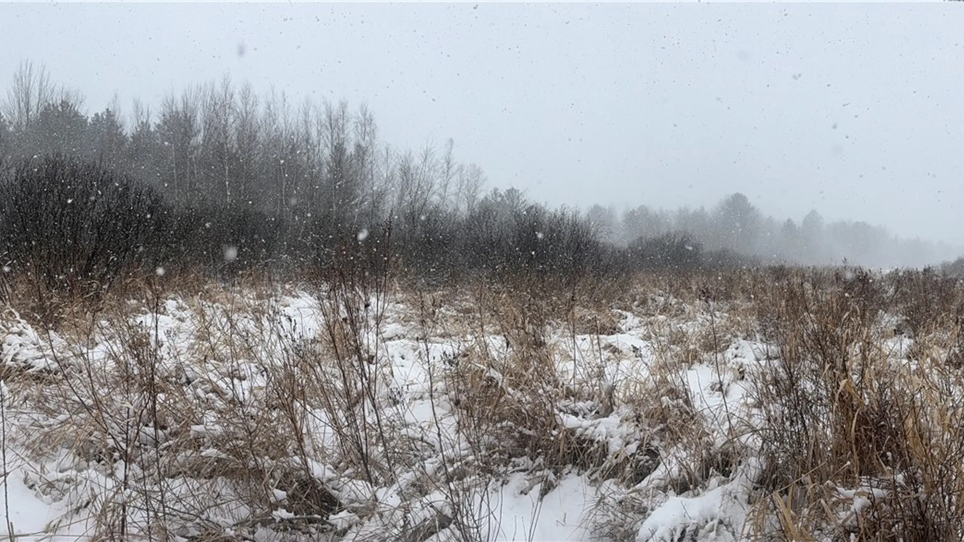 Property at Eddy Road, Theresa, NY 13691 26