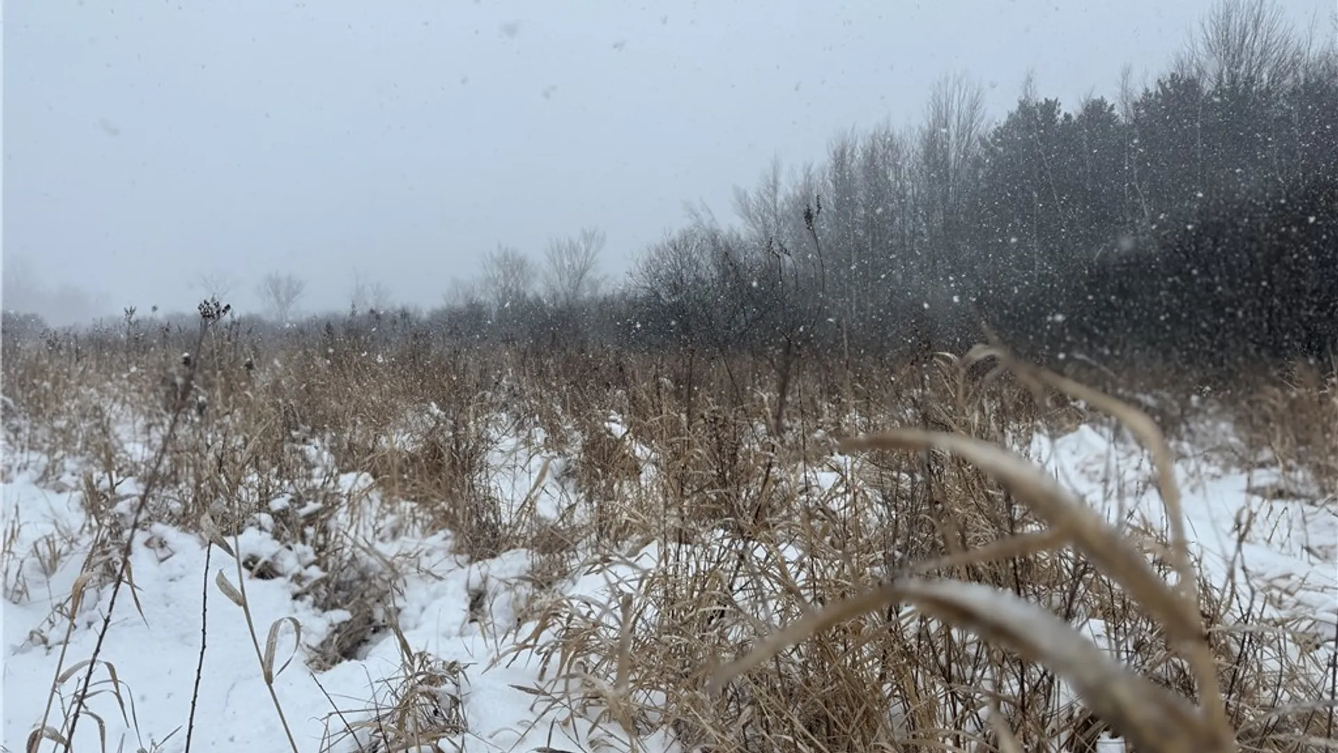 Property at Eddy Road, Theresa, NY 13691 28