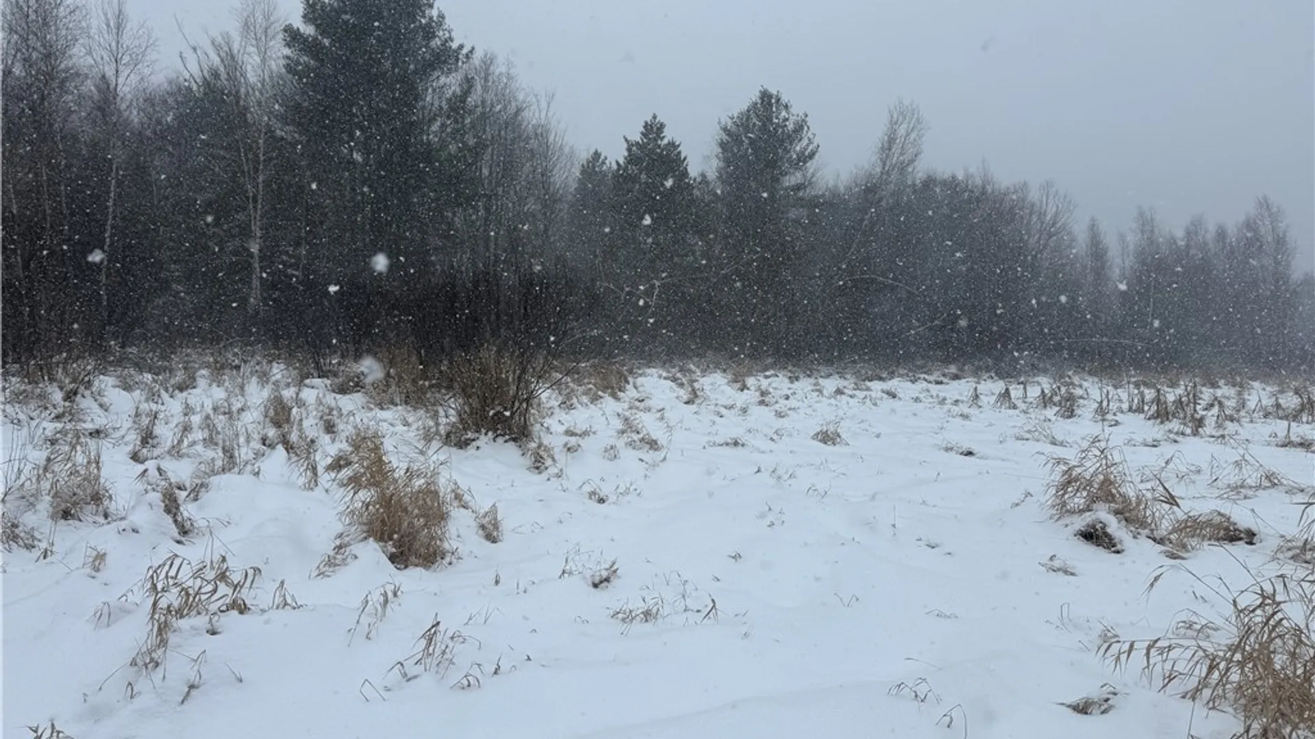 Property at Eddy Road, Theresa, NY 13691 29