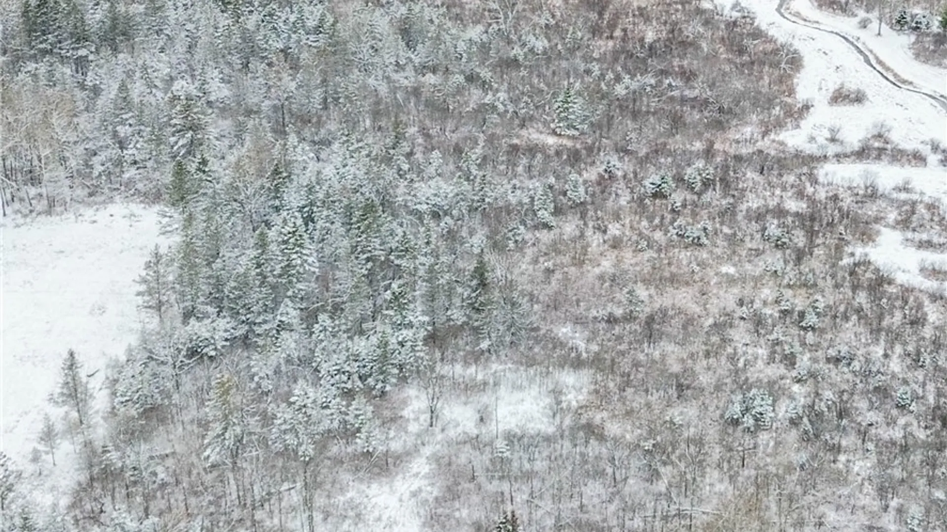 Property at Eddy Road, Theresa, NY 13691 3